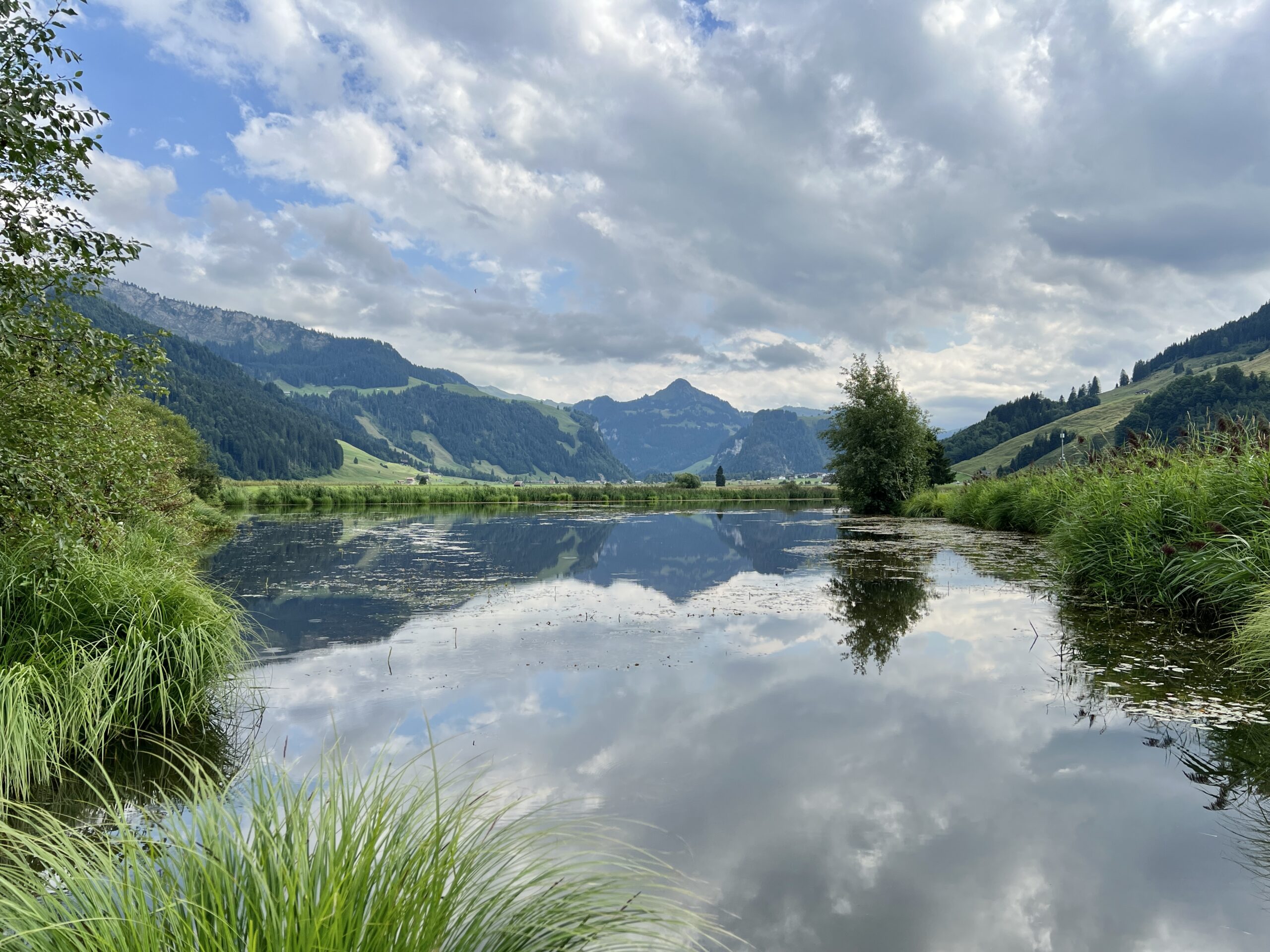 Blick zum Ybrig