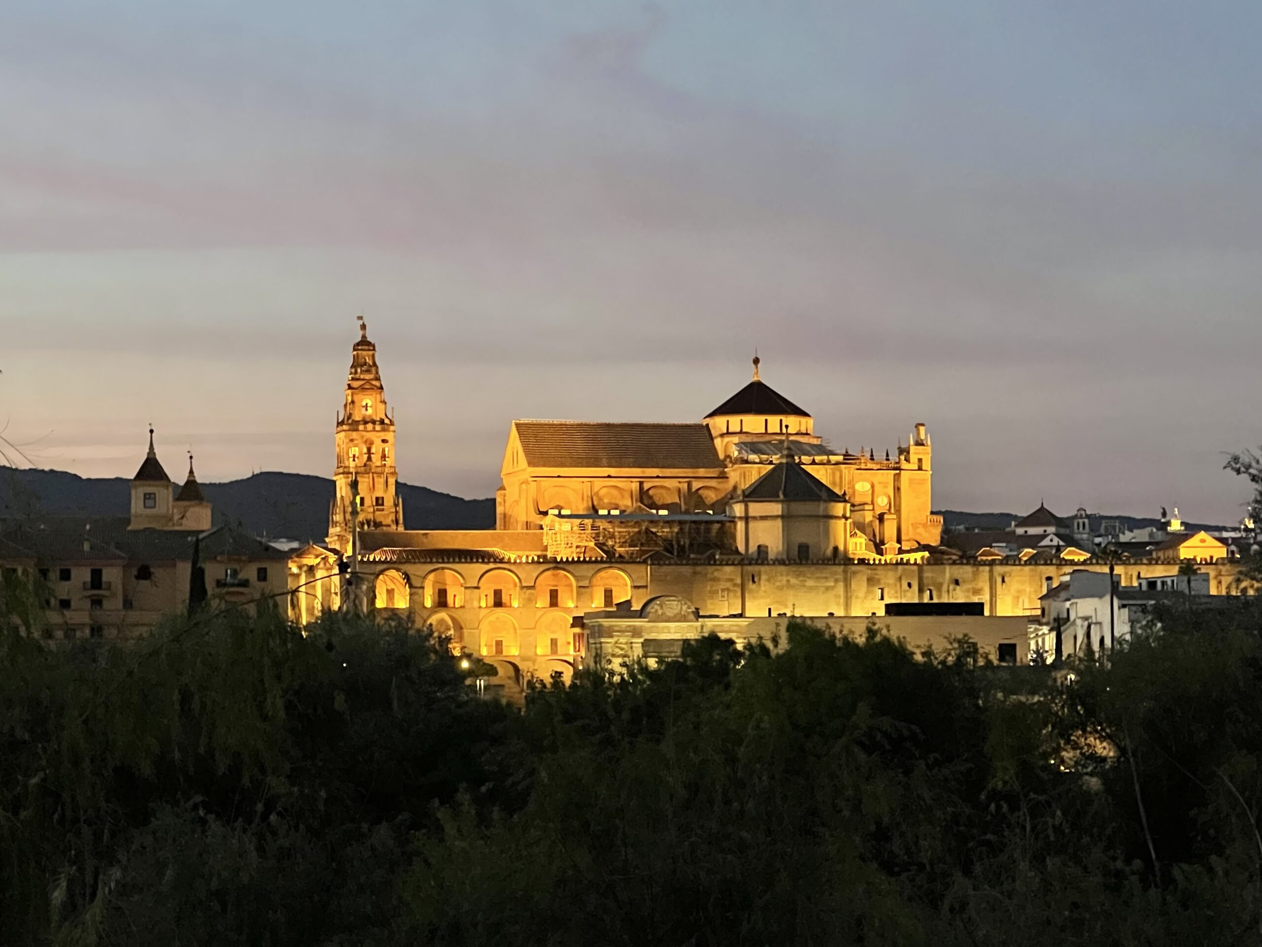 Mezquita de noche