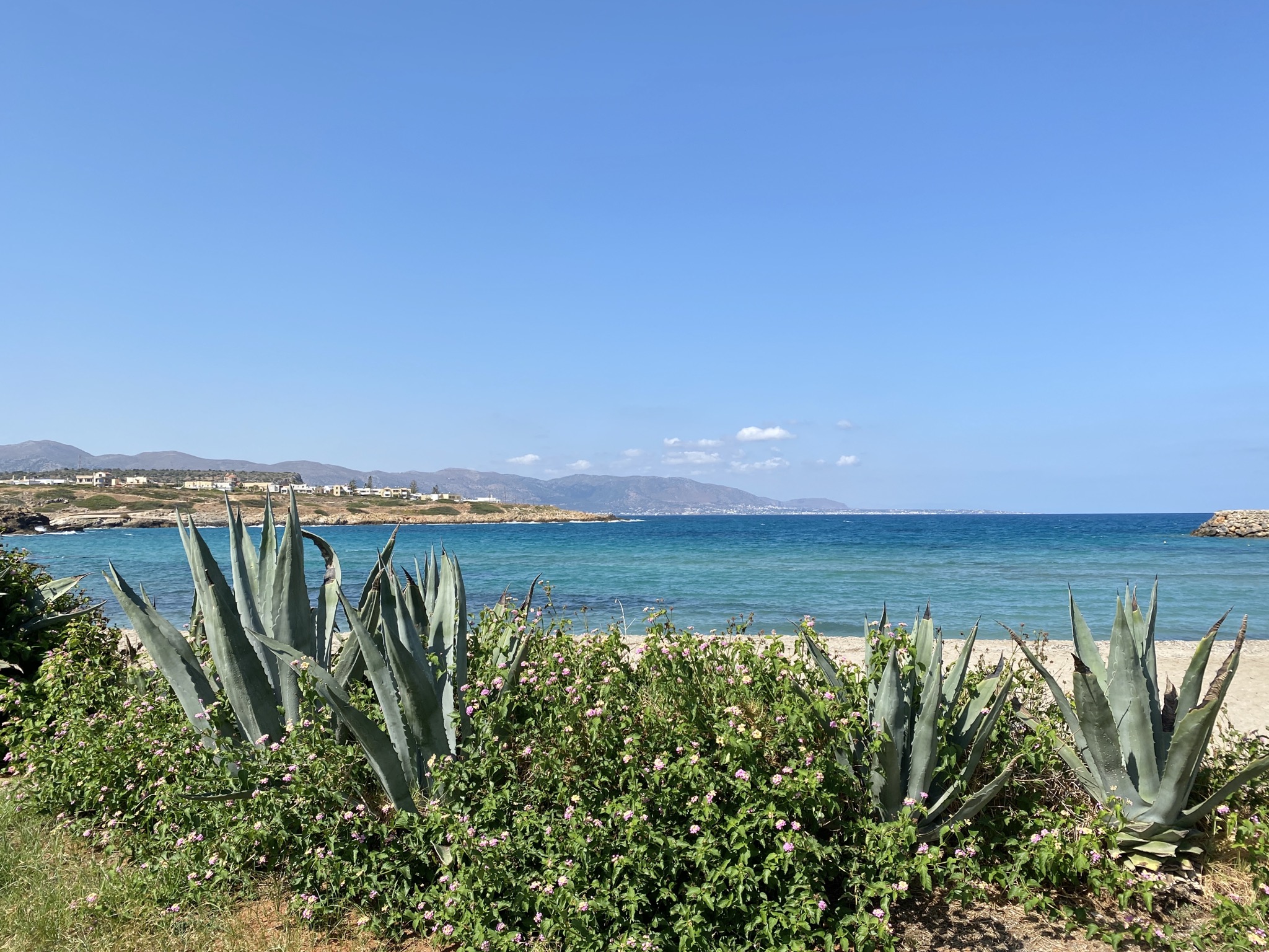 Παρασκευή (Freitag)