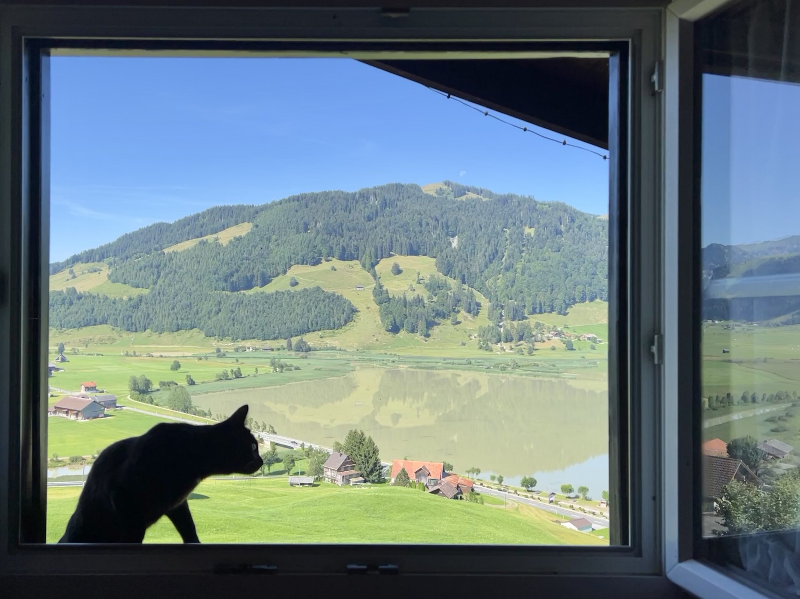 Ausgang auf das Fensterbrett