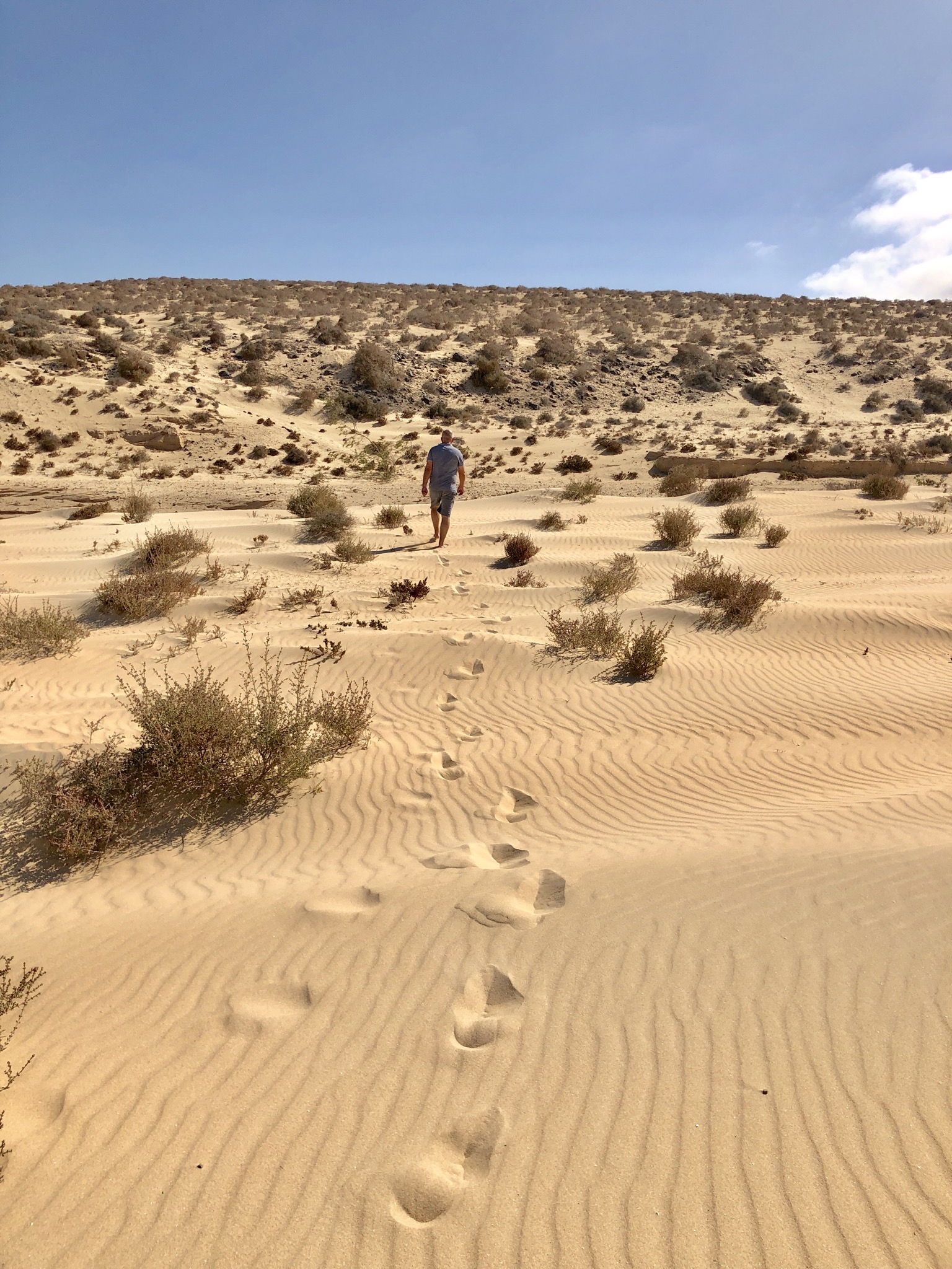Deine Spuren im Sand ...