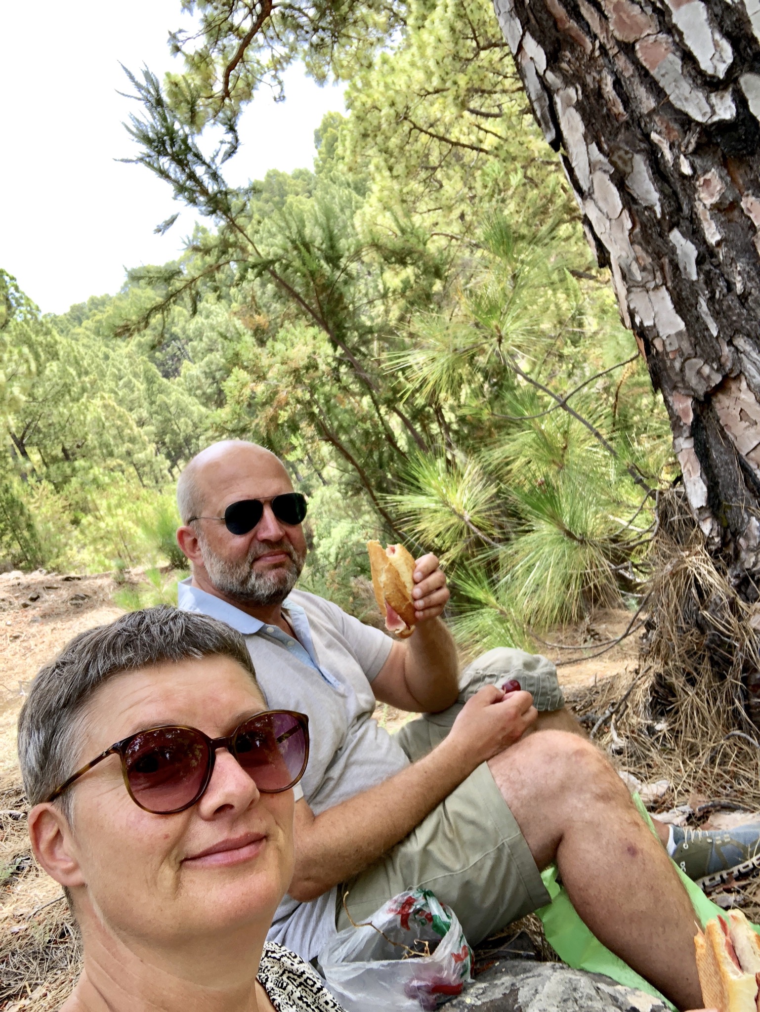 Picknick im Wald