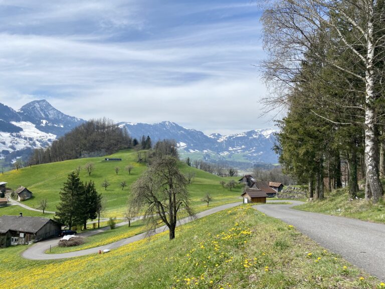 Rigi