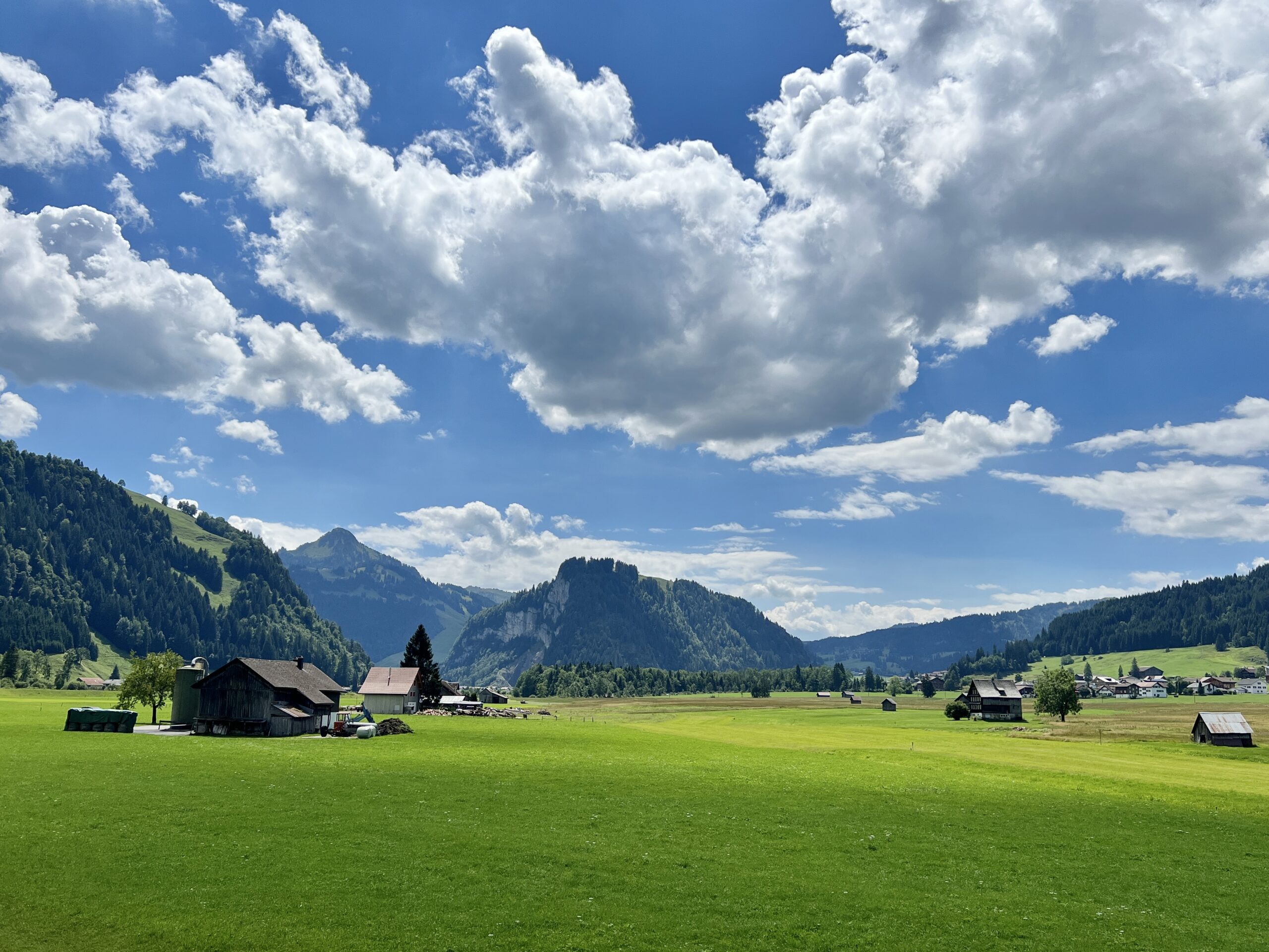 Viele verstreute Höfe in der Landschaft