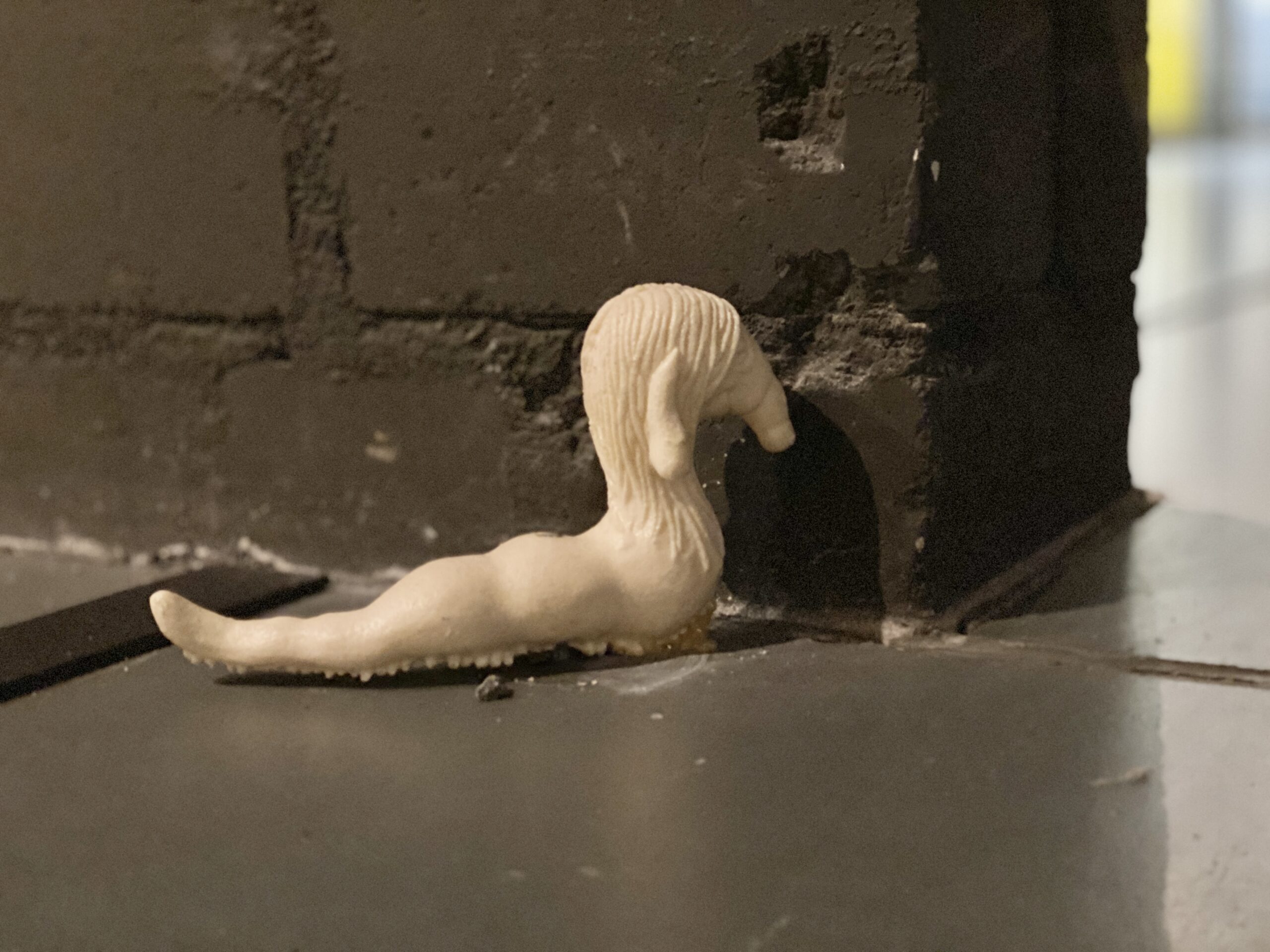 Wunderwurm