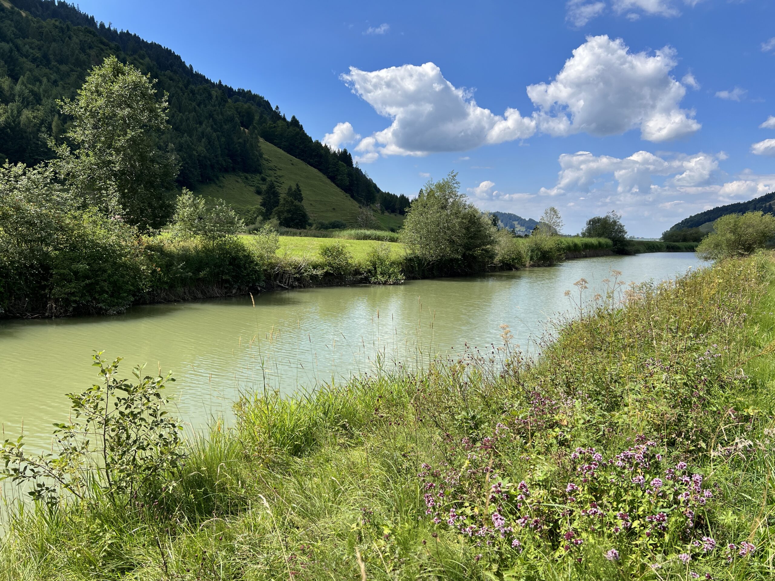 Die Minster kurz vor der Mündung in den Sihlsee