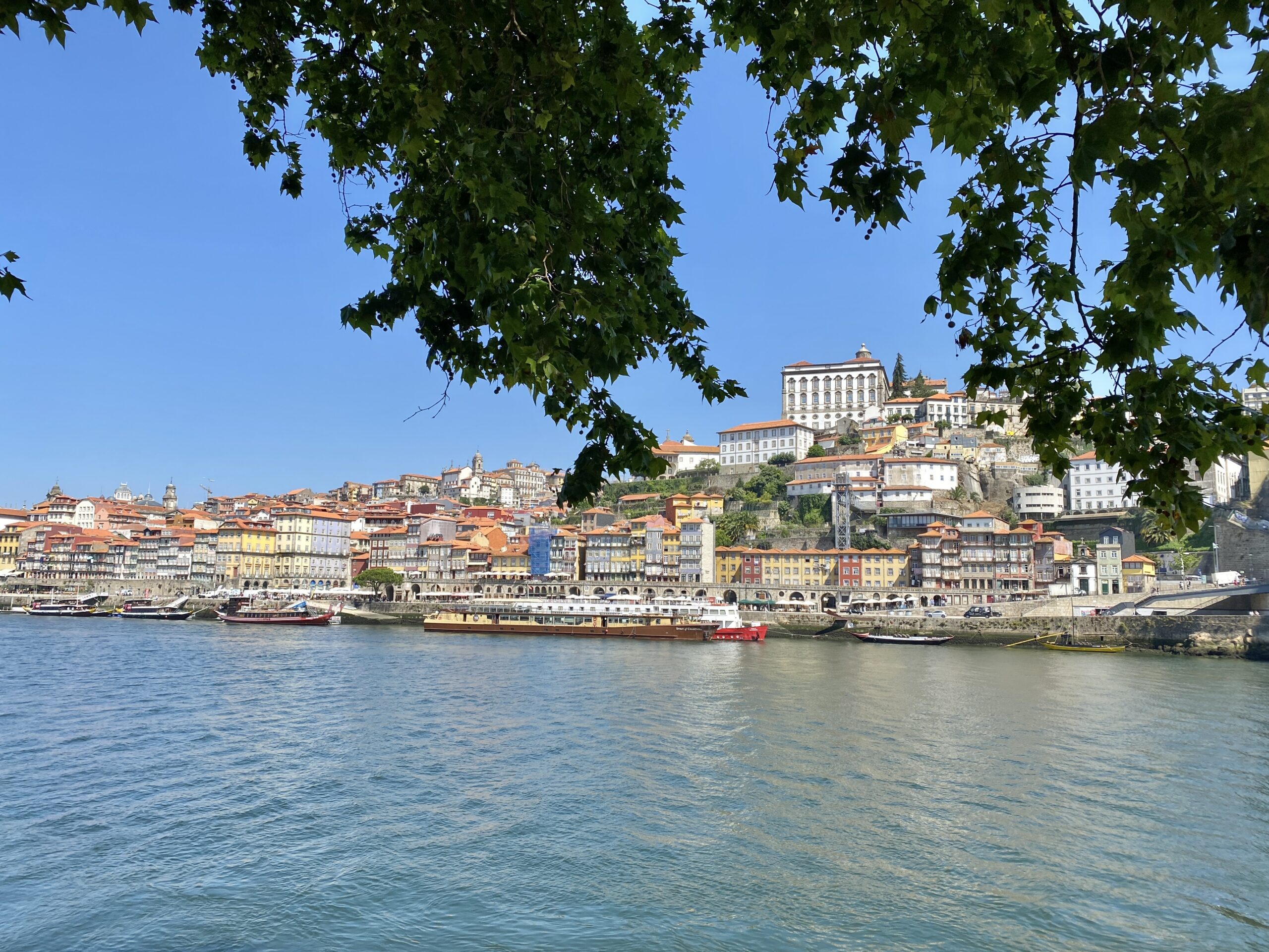 Blick auf die Altstadt