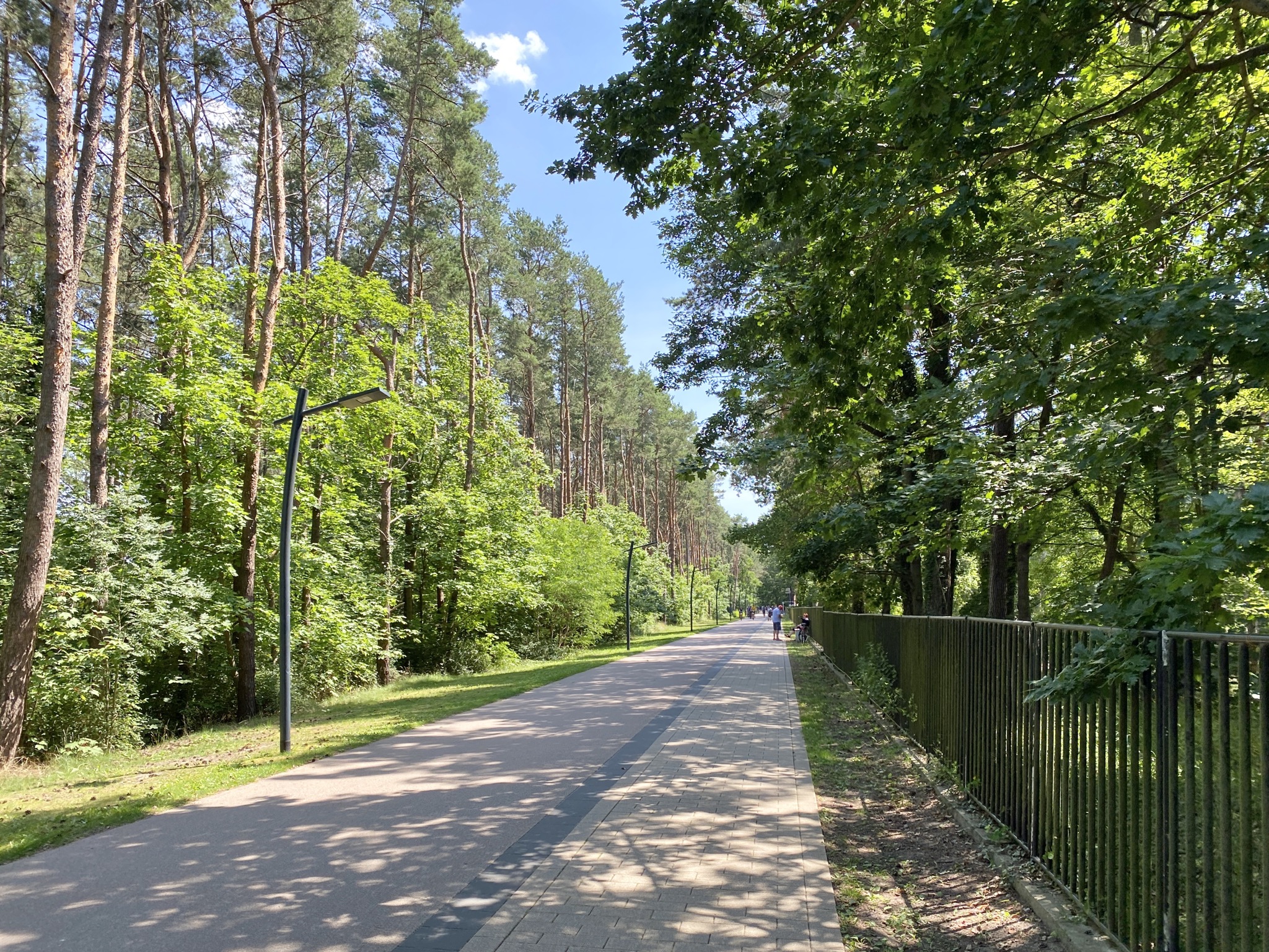 Piste in den Wald (links Velos, rechts Fussgänger)