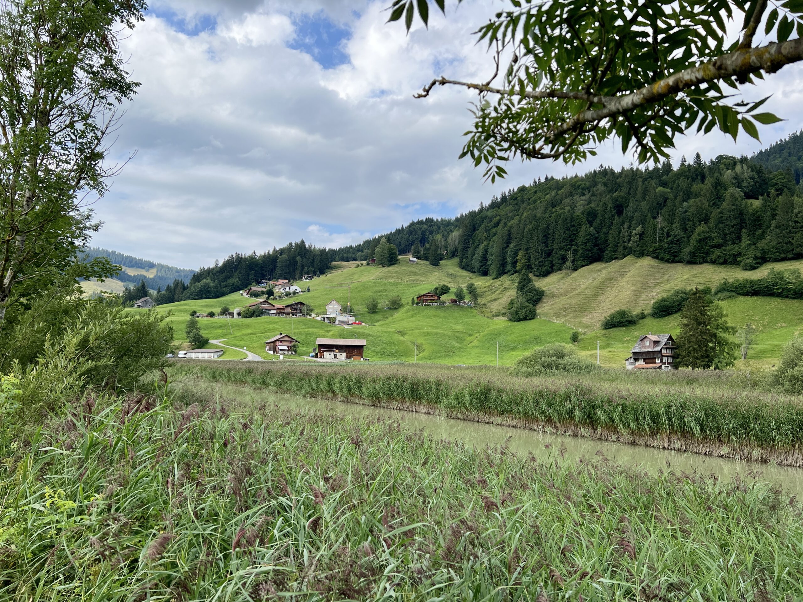 Blick über die Sihl zum Höhport