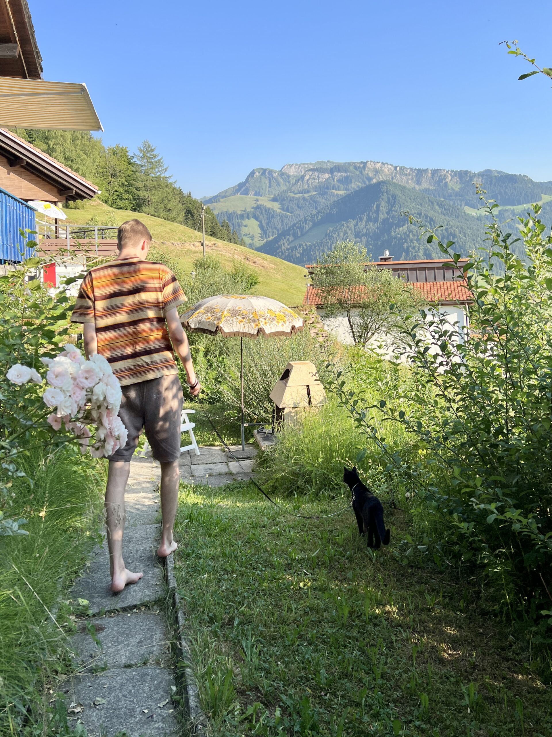 Sissi an der Leine