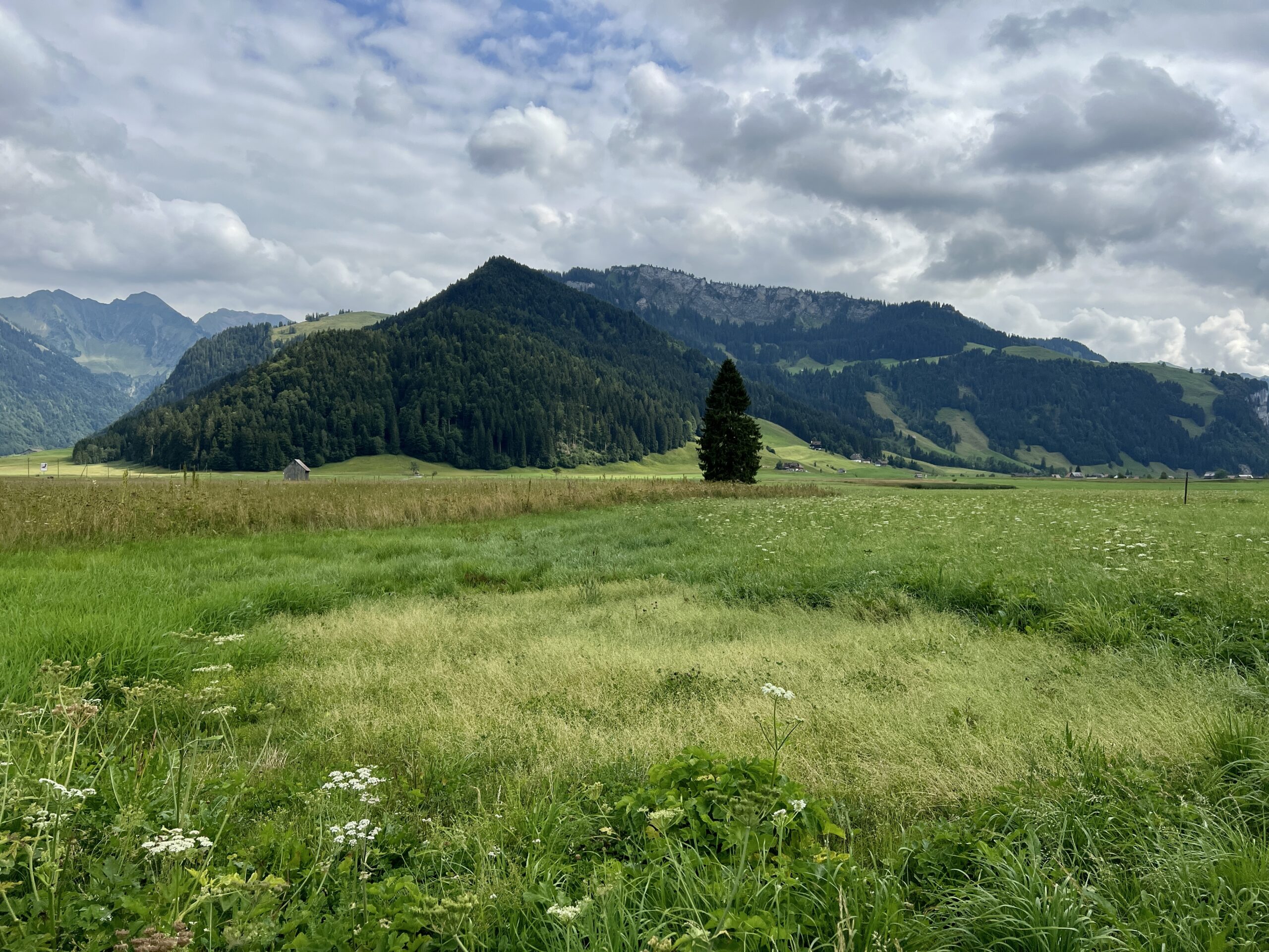 Blick übers Schützenried zum Karenstock