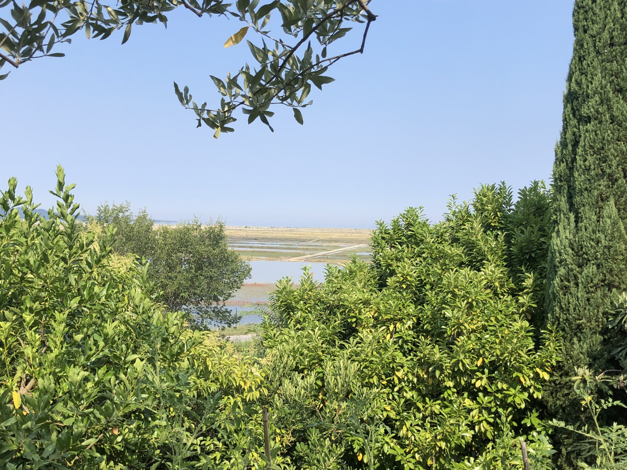 Aussicht vom BnB Lera