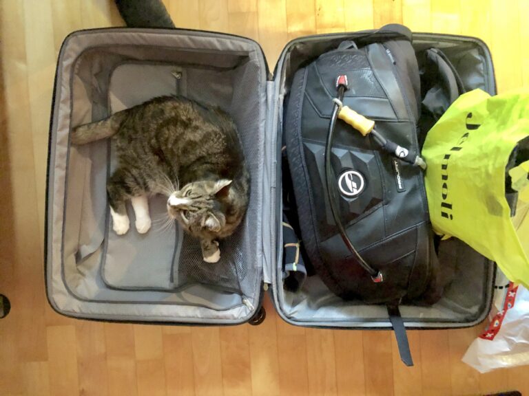 Max will mit.