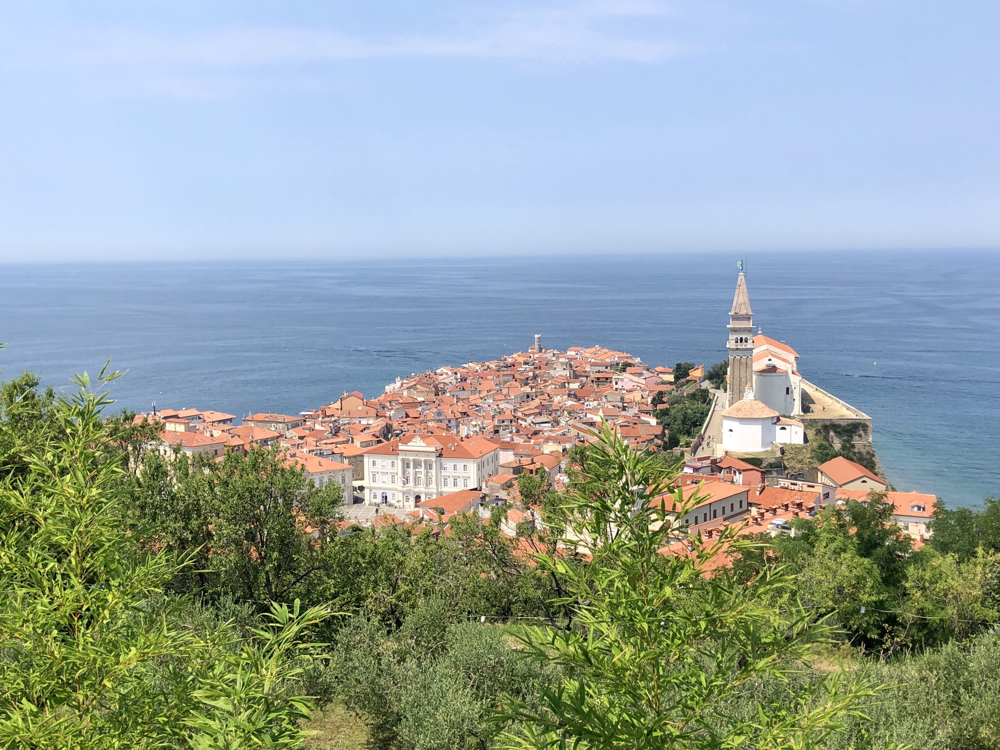 Piran von oben