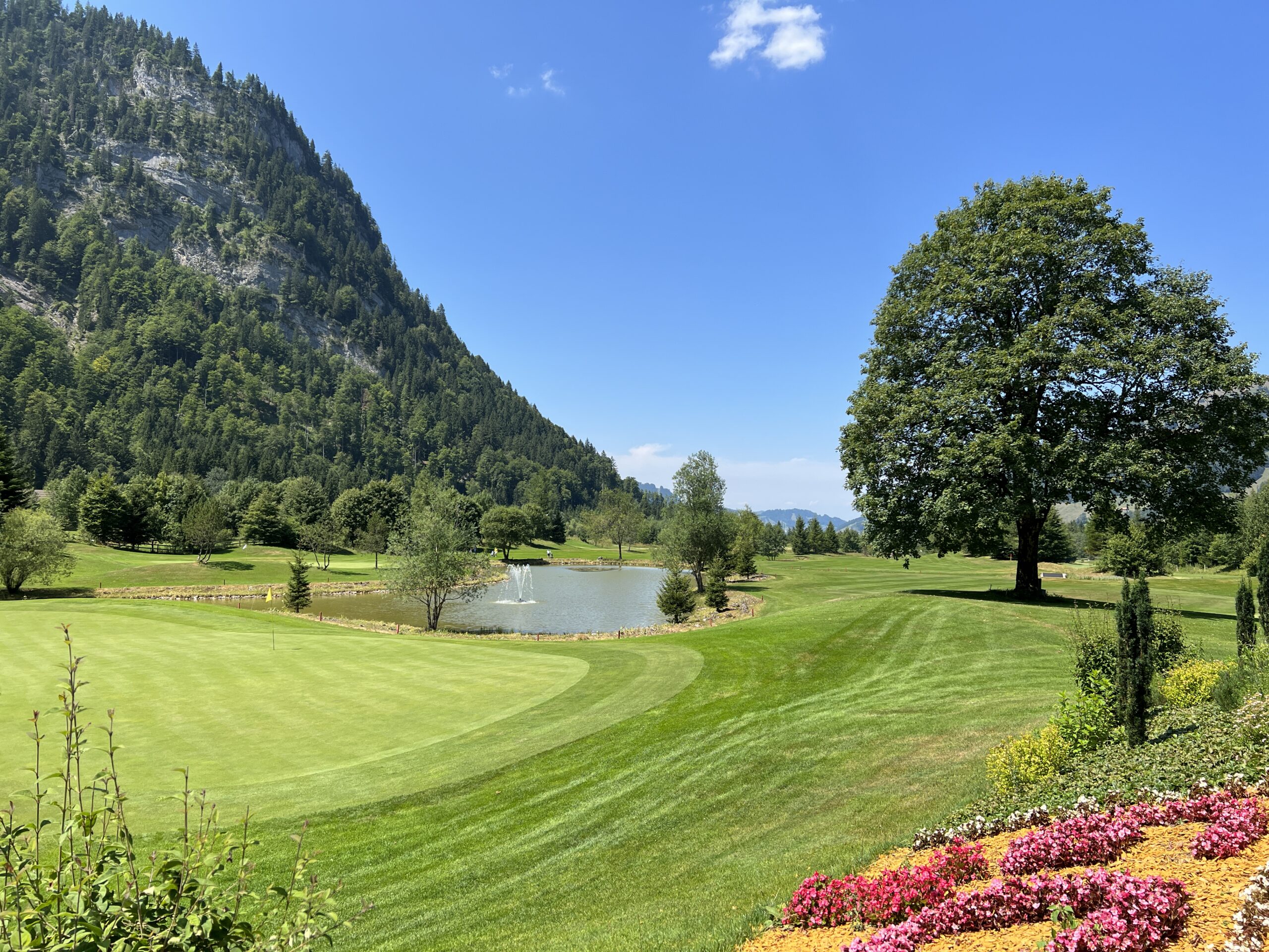 Golf Ybrig