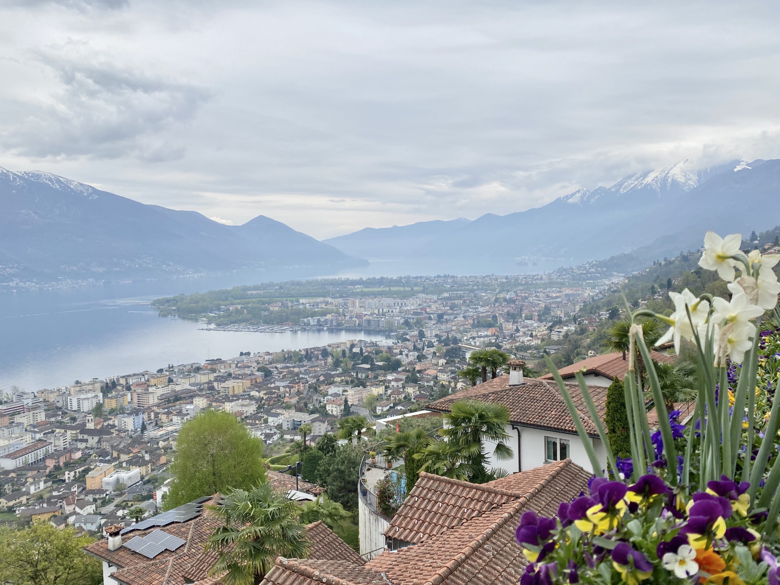 Bella vista