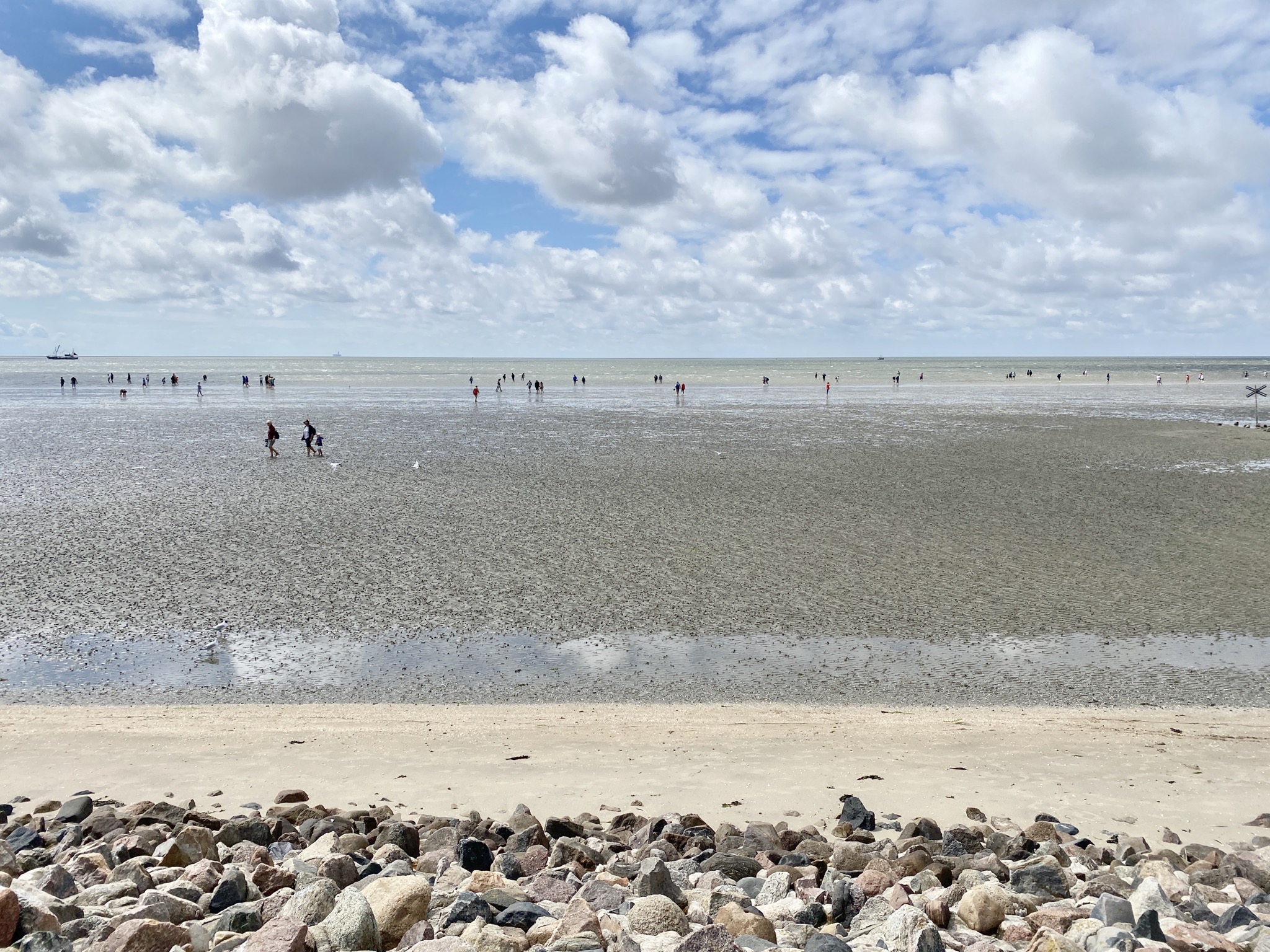 Meer: Ebbe