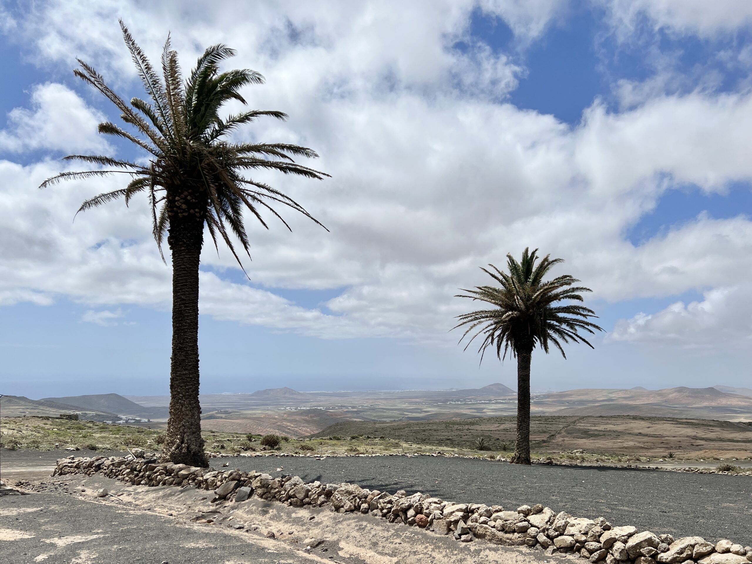 Blick zur Ostküste bis Arrecife