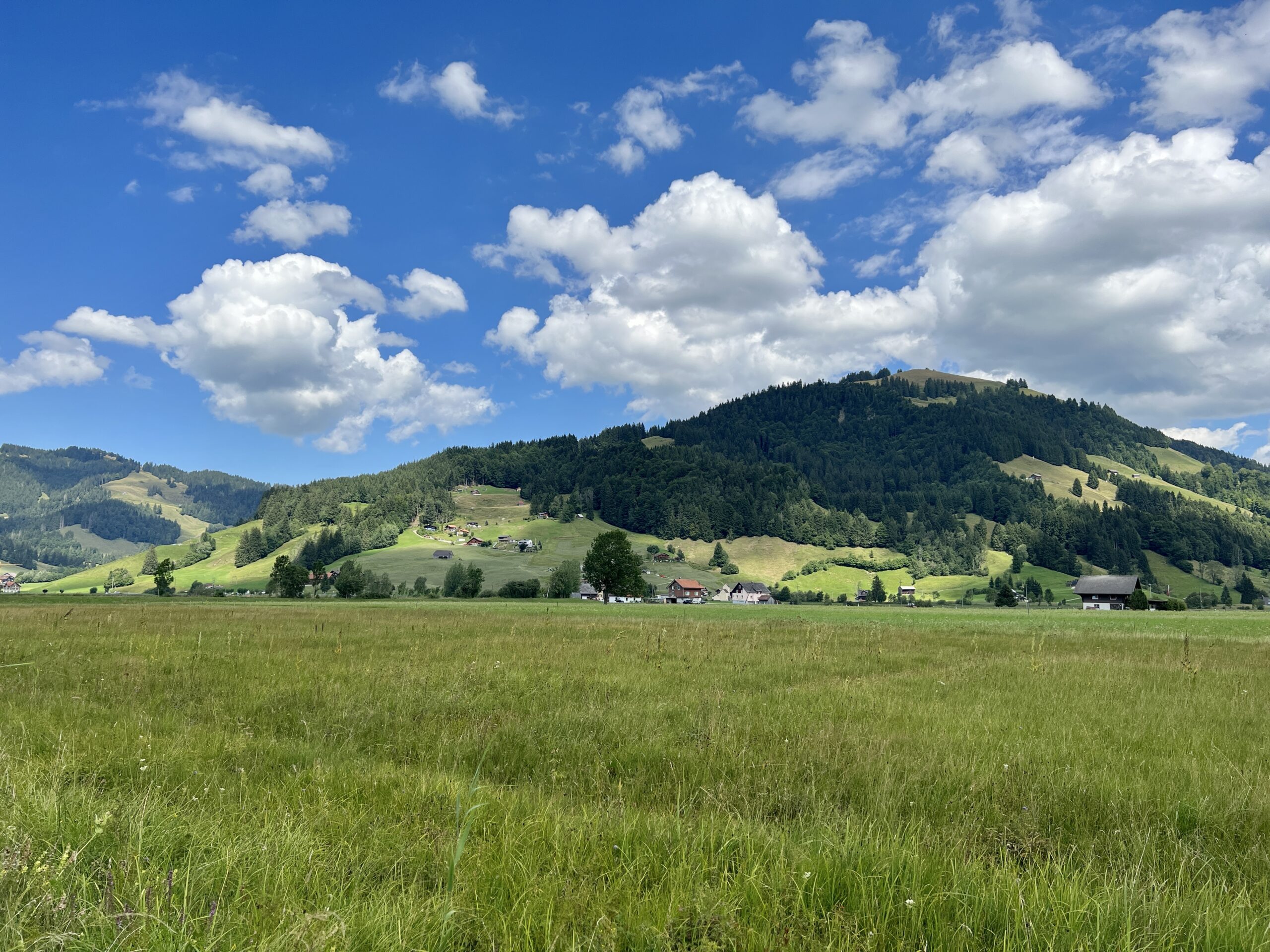 Blick übers Ried zum Höhport