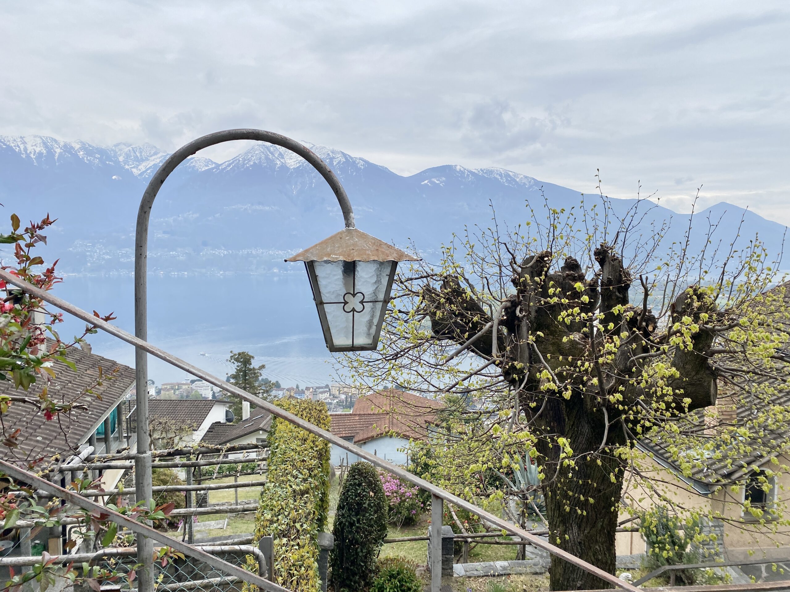 Bella vista