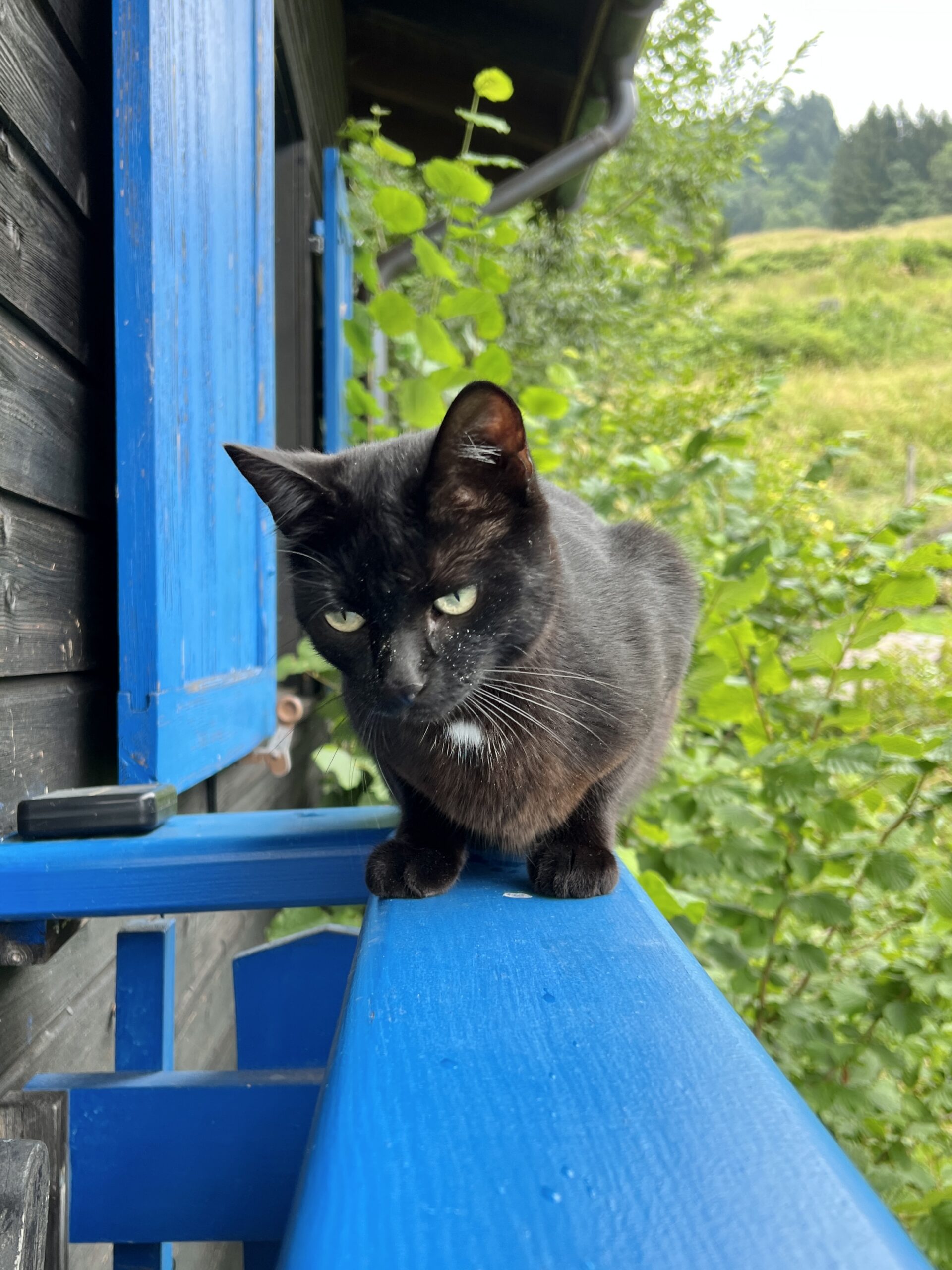 Erster Ausgang