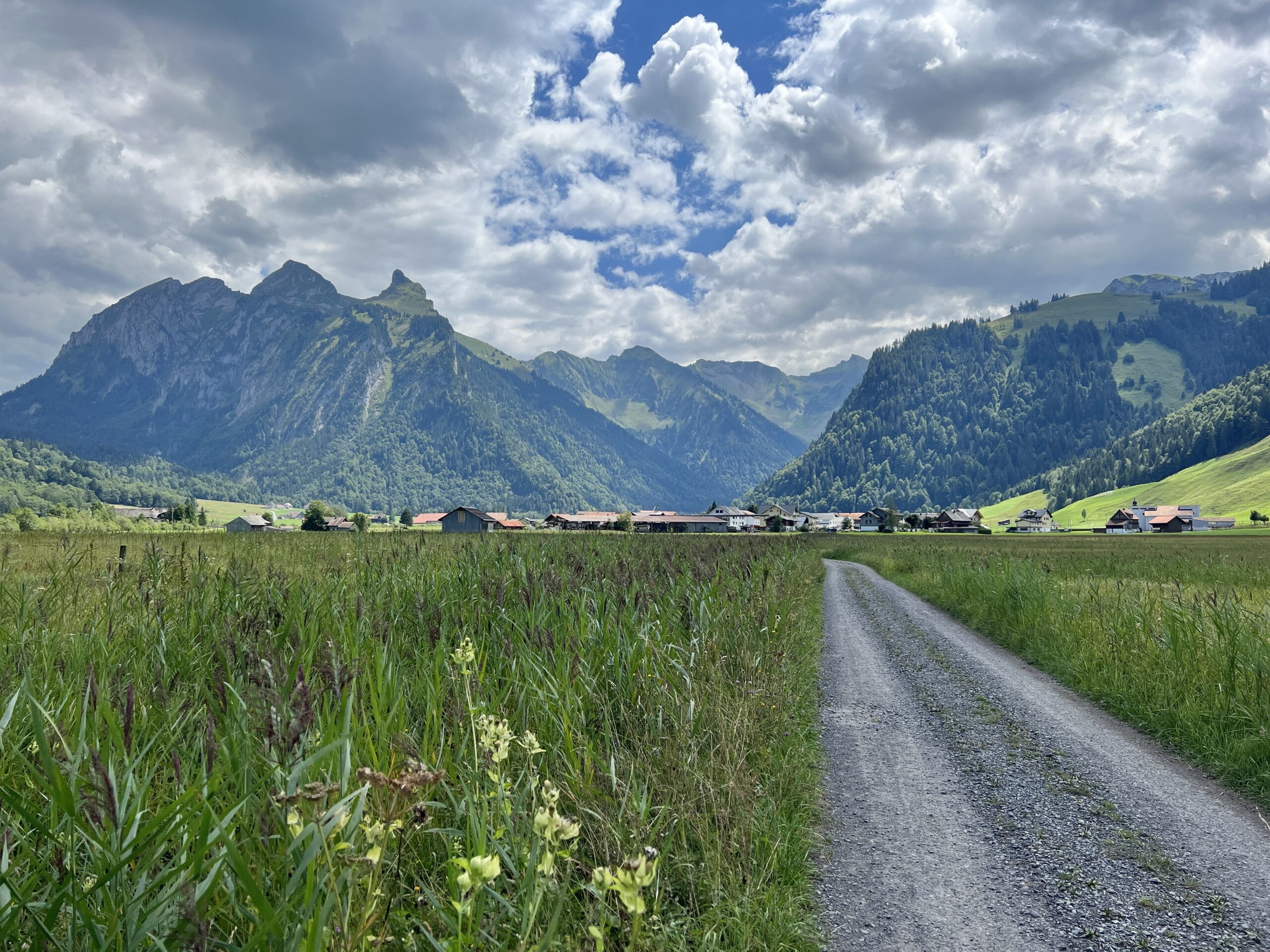Richtung Studen