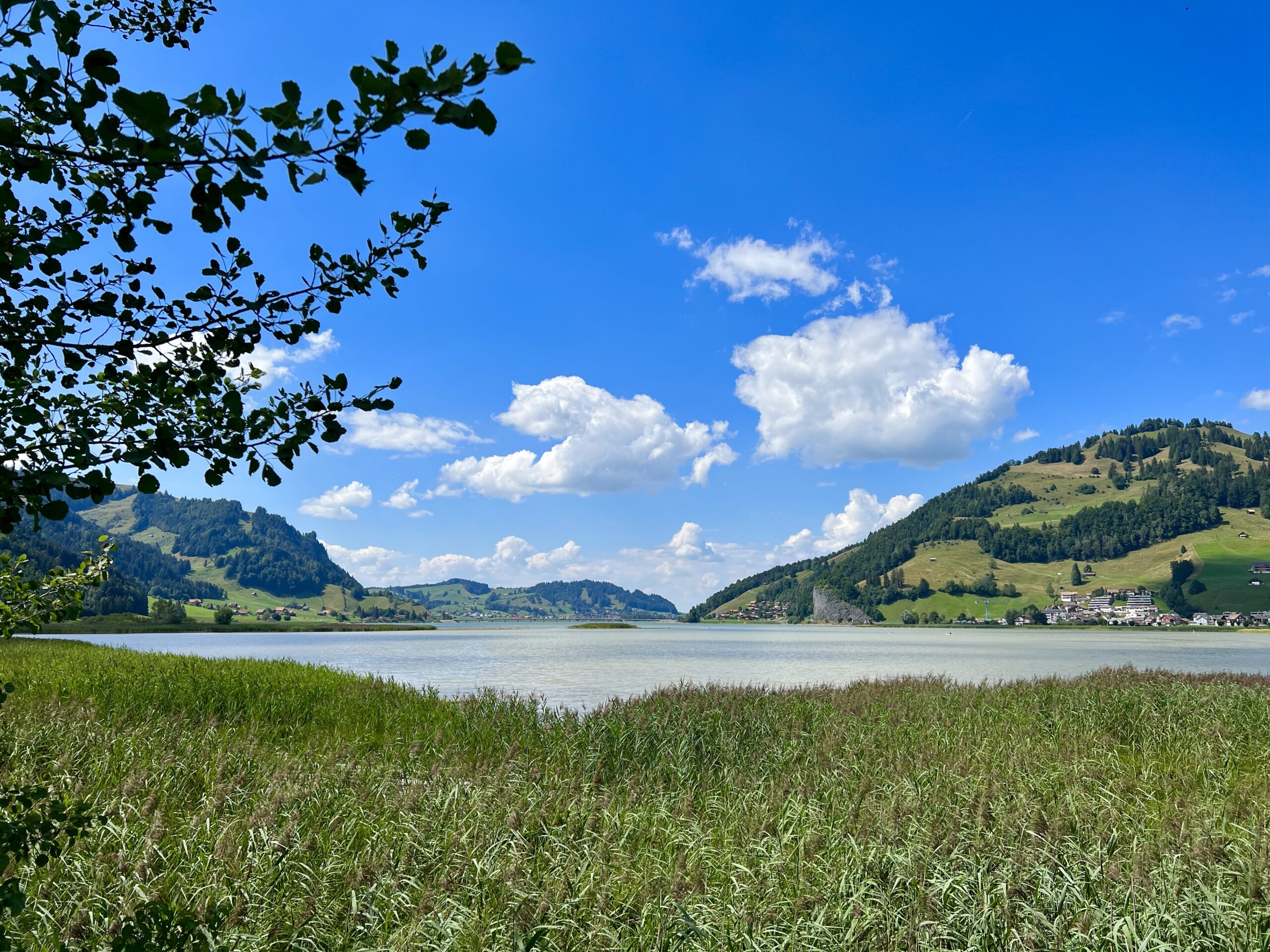 Sommer
