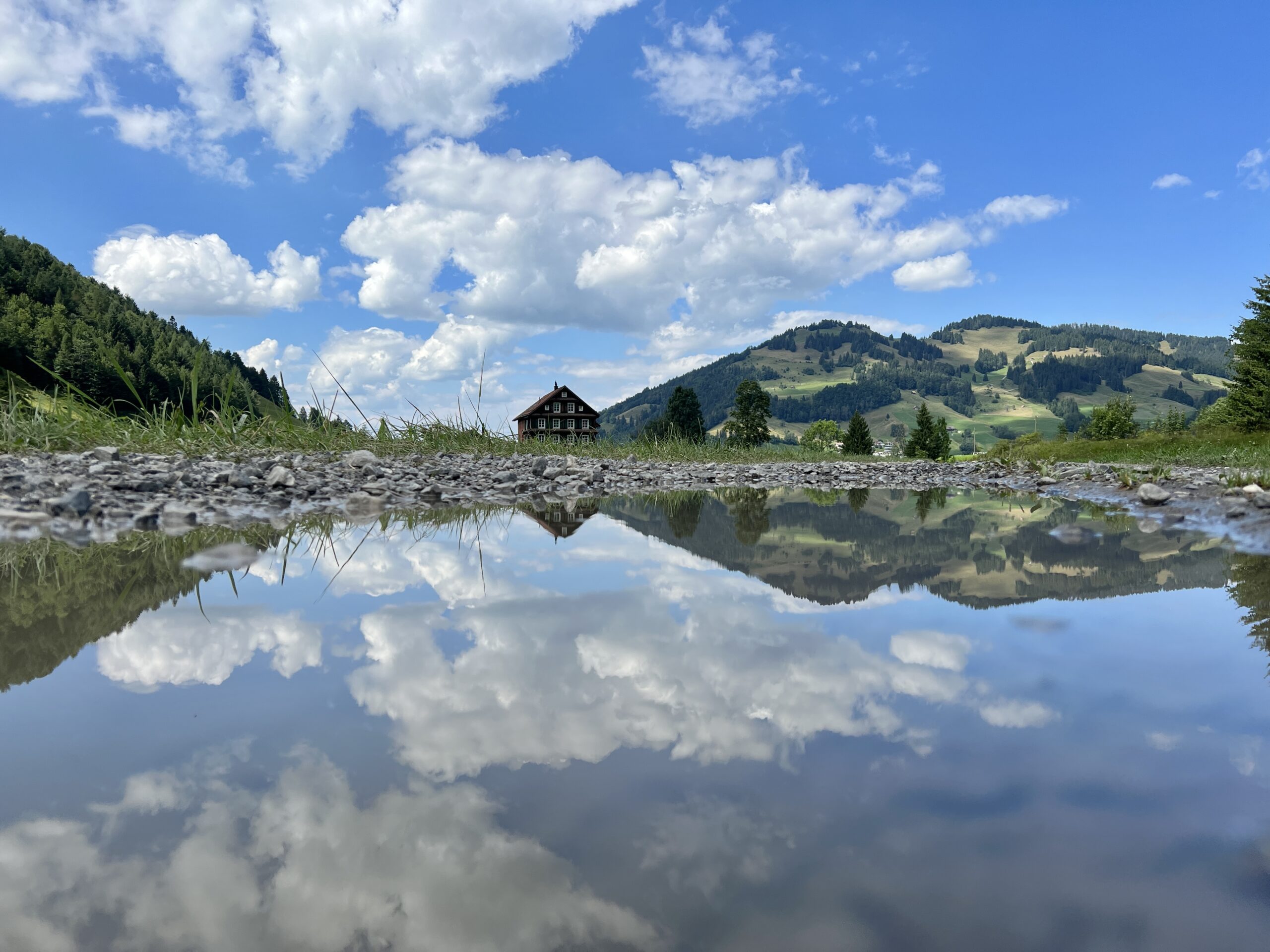 Spiegelung in einer Pfütze