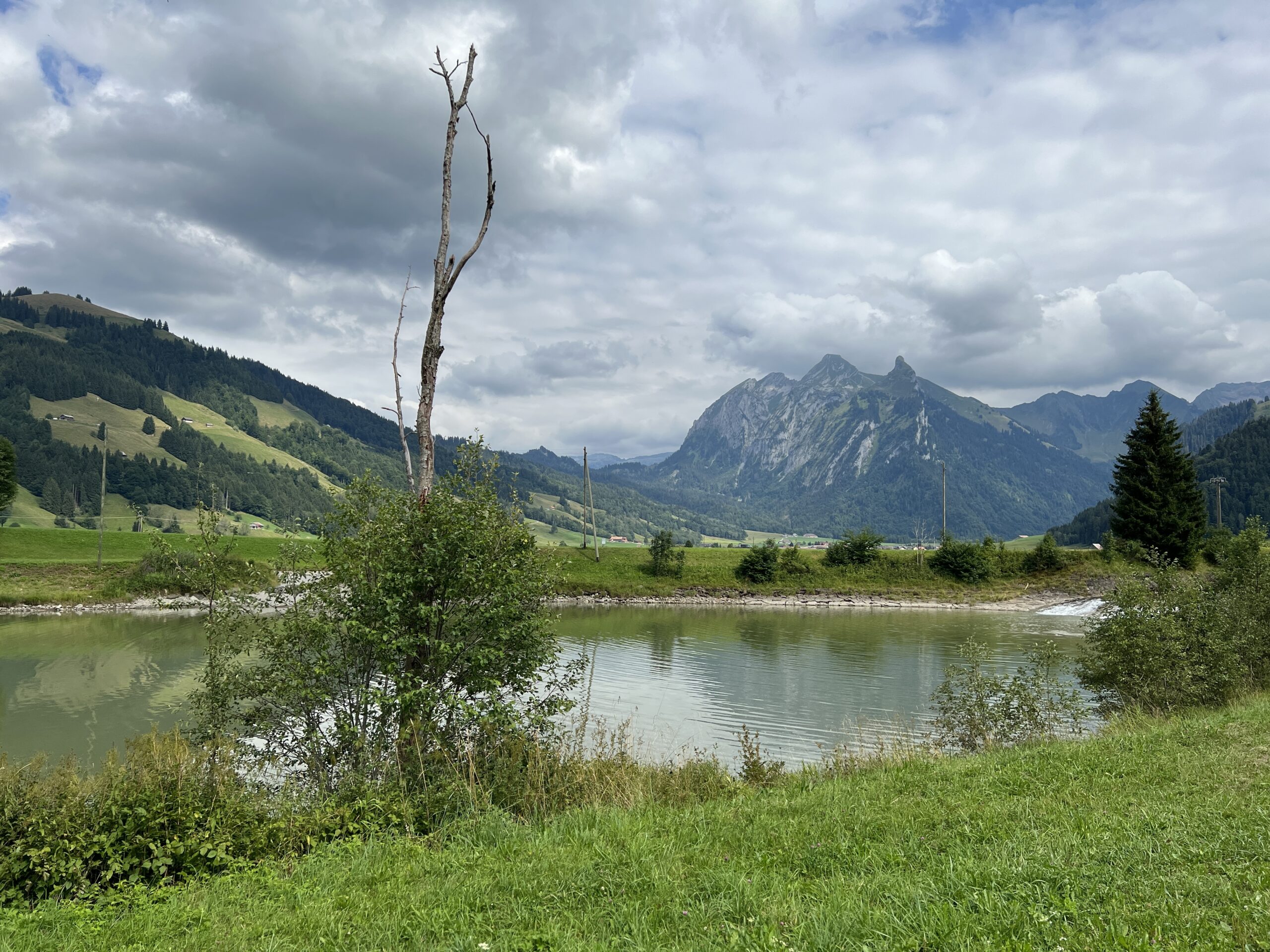 Mündung der Minster in den Sihlsee