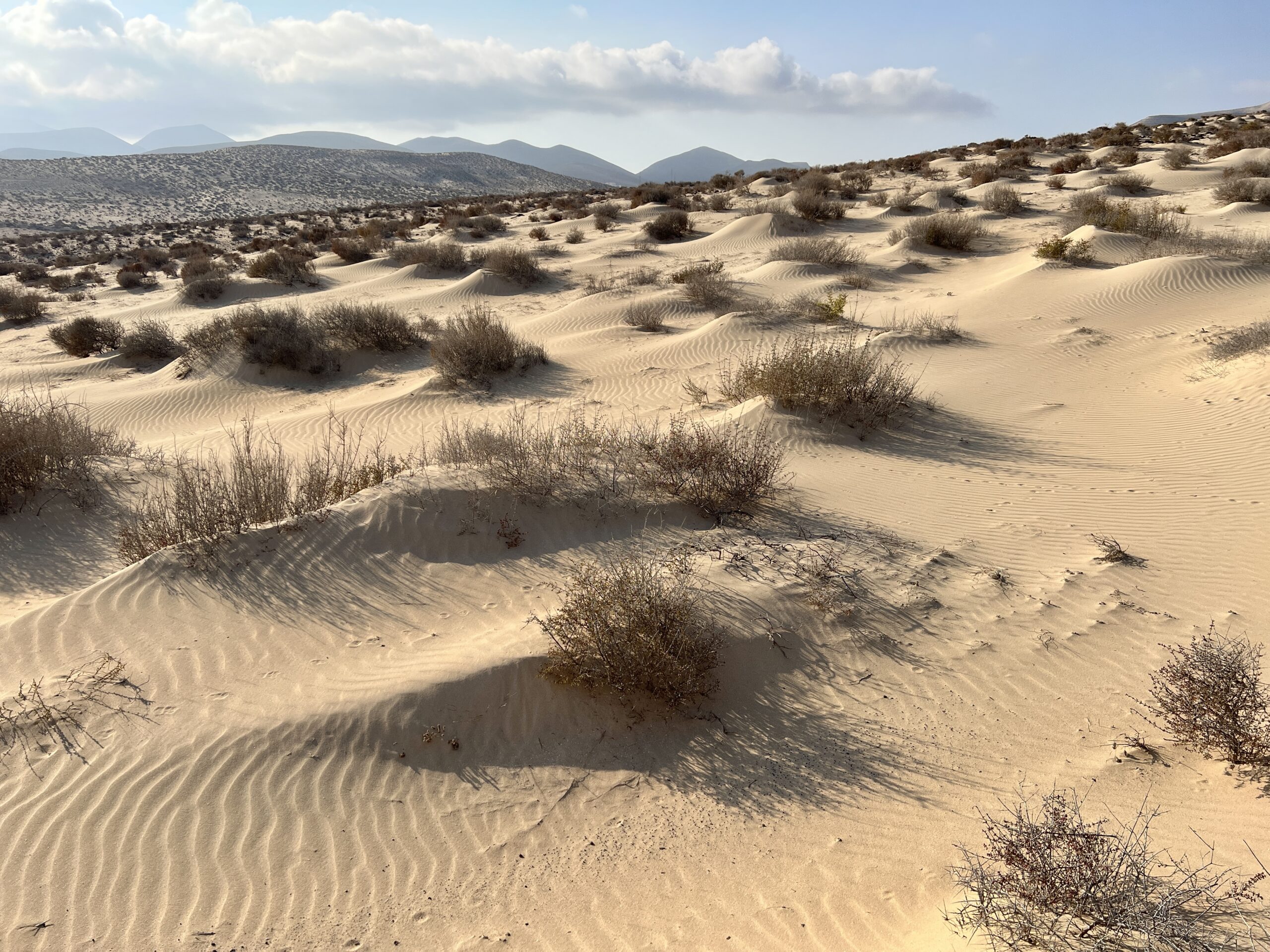 Sandlandschaft