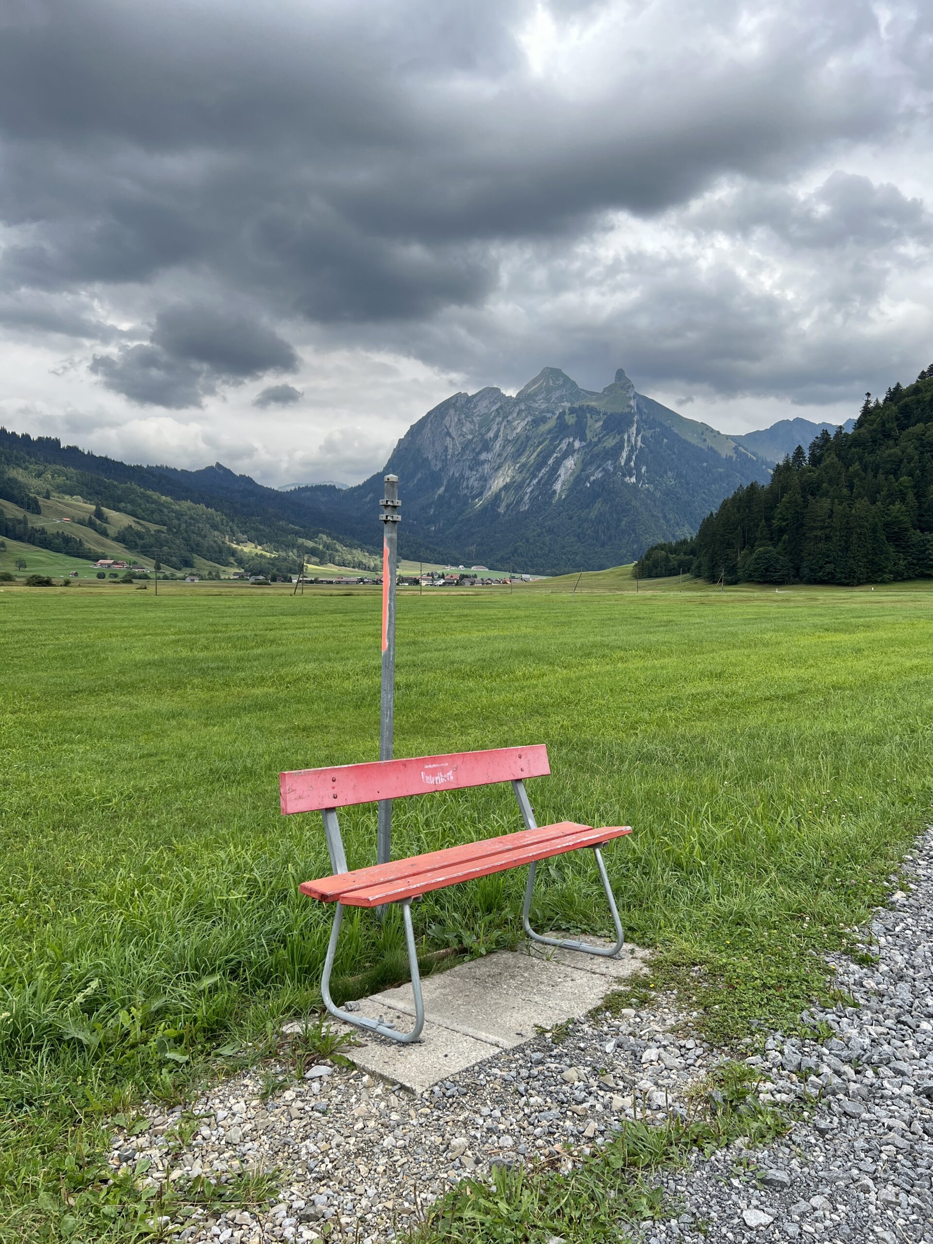 Rastplatz im Ried