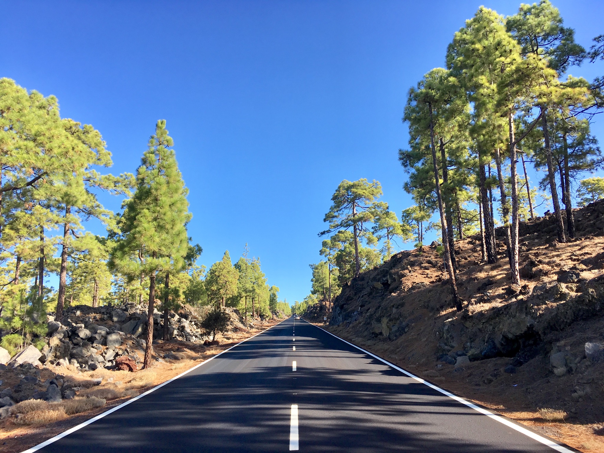 Steil führt die Strasse in die Höhe