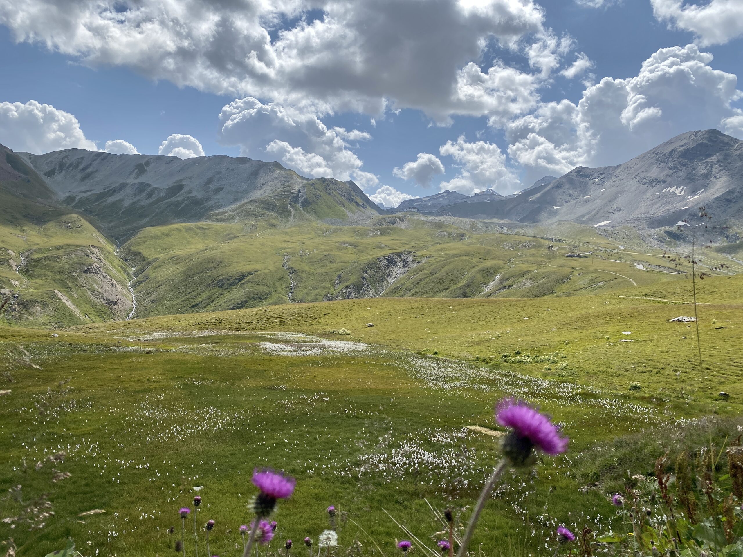 Blick vom Umbrail zum Stilfserjoch