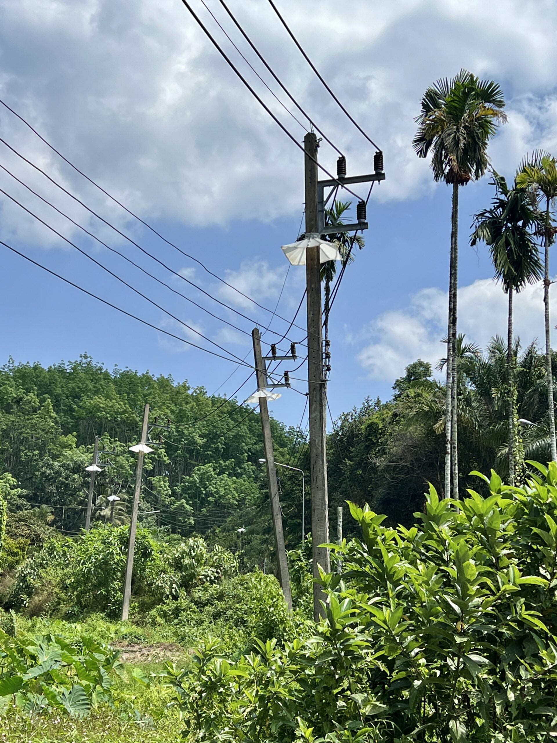 Die Strommasten tragen Schirmli ...