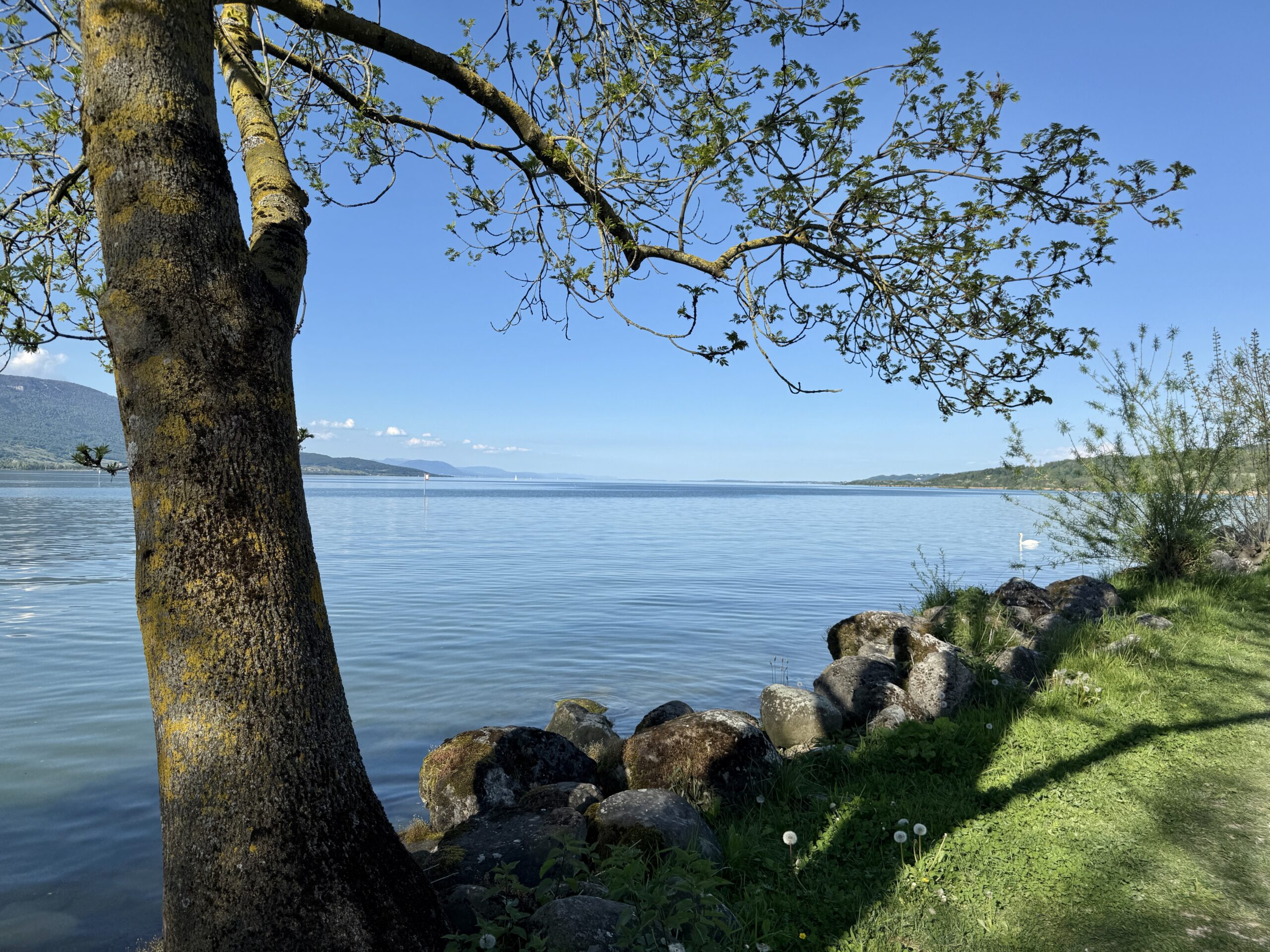 Am Ufer beim Campingplatz