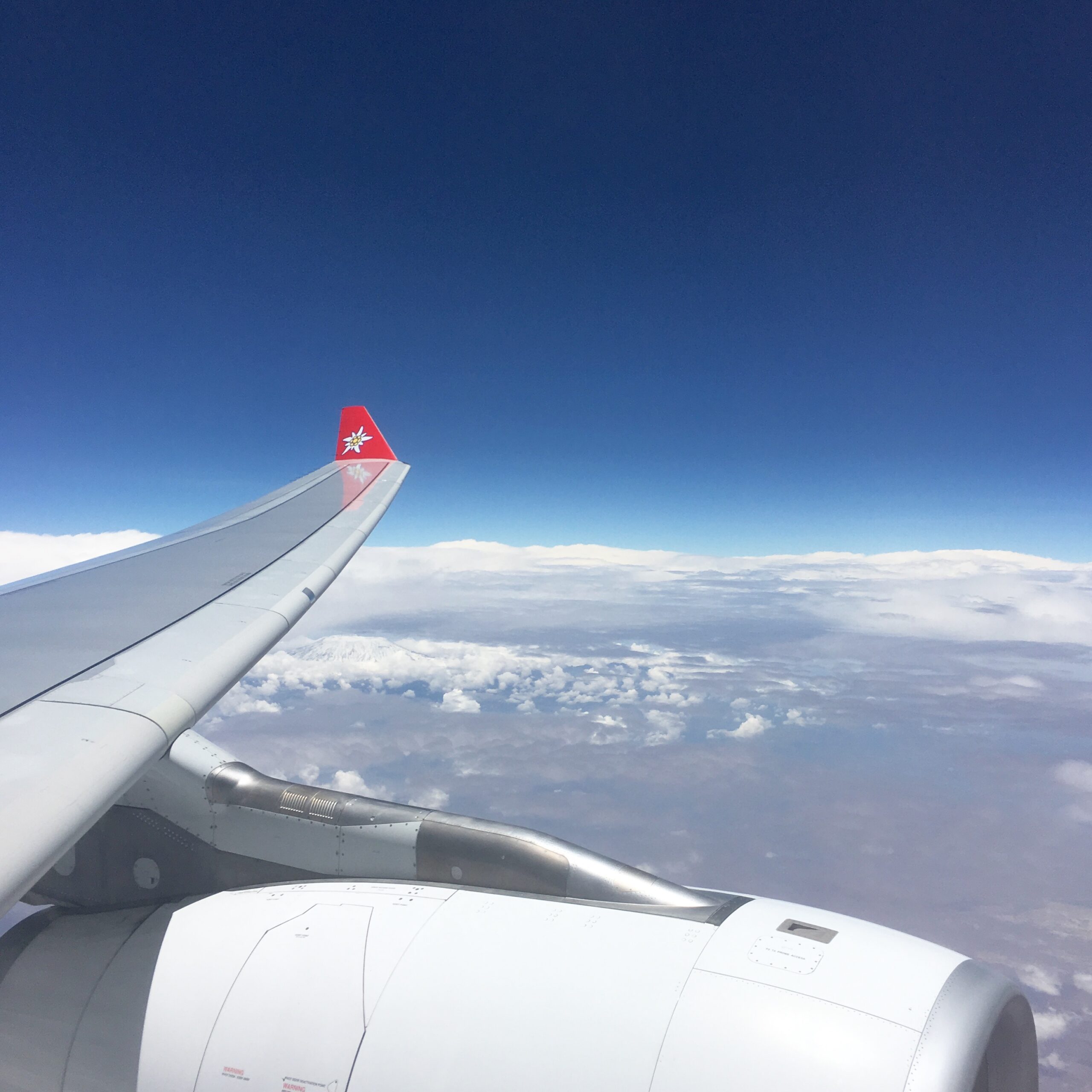 Kilimanjaro (unter der Flügelspitze)