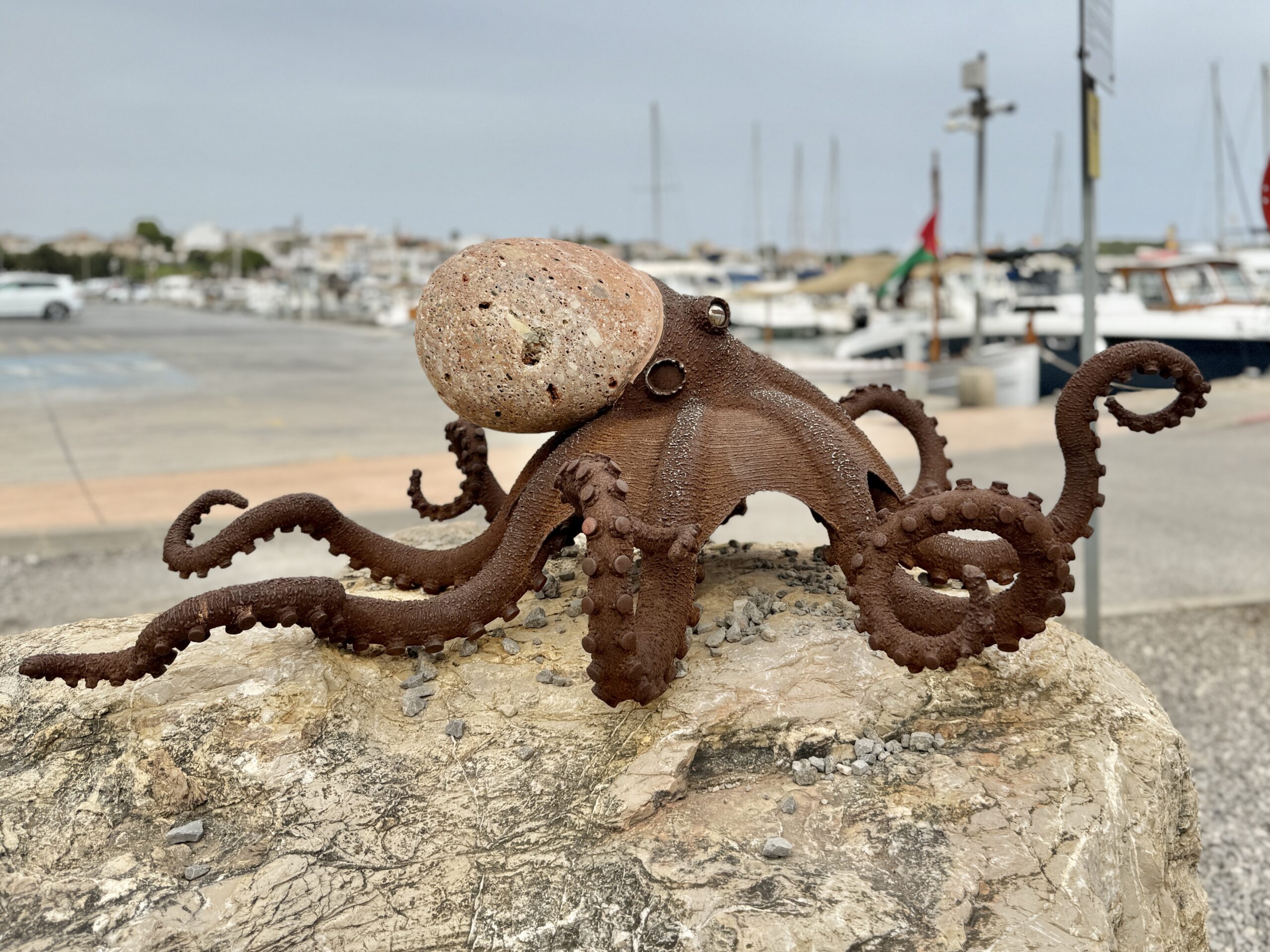 Pulpo