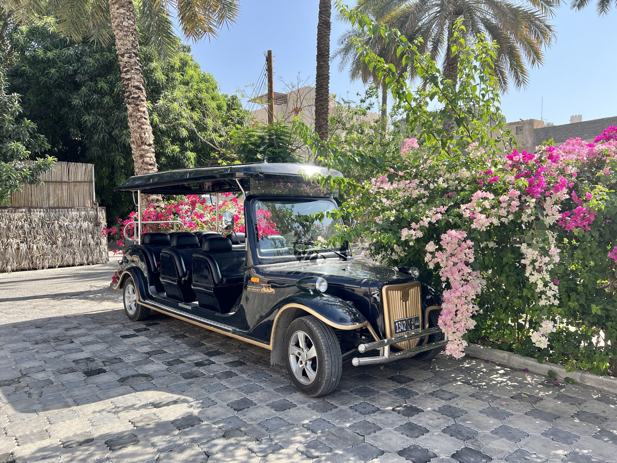 Touristentransporter