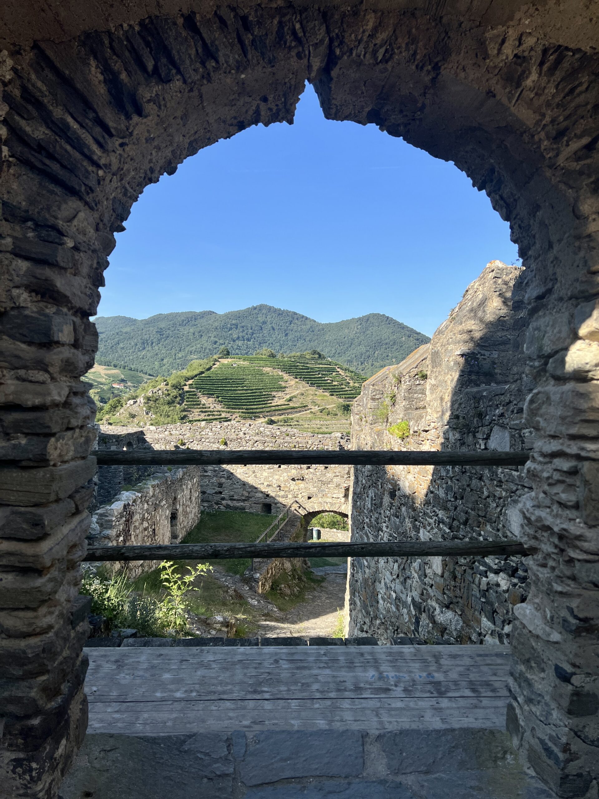 Ruine Hinterhaus