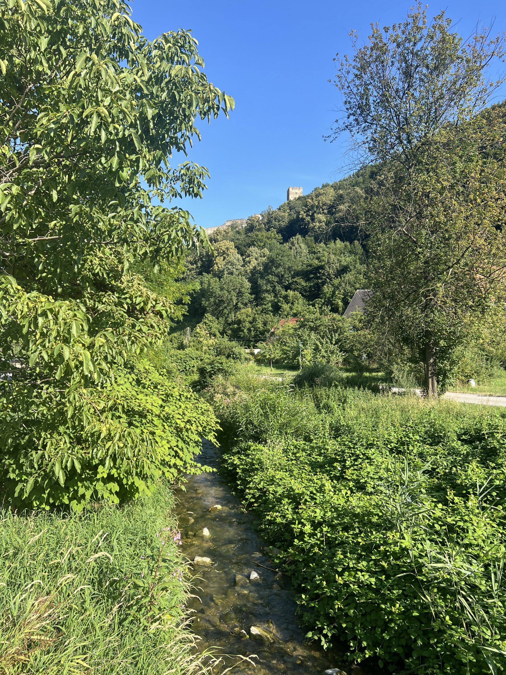 Spitzer Bach