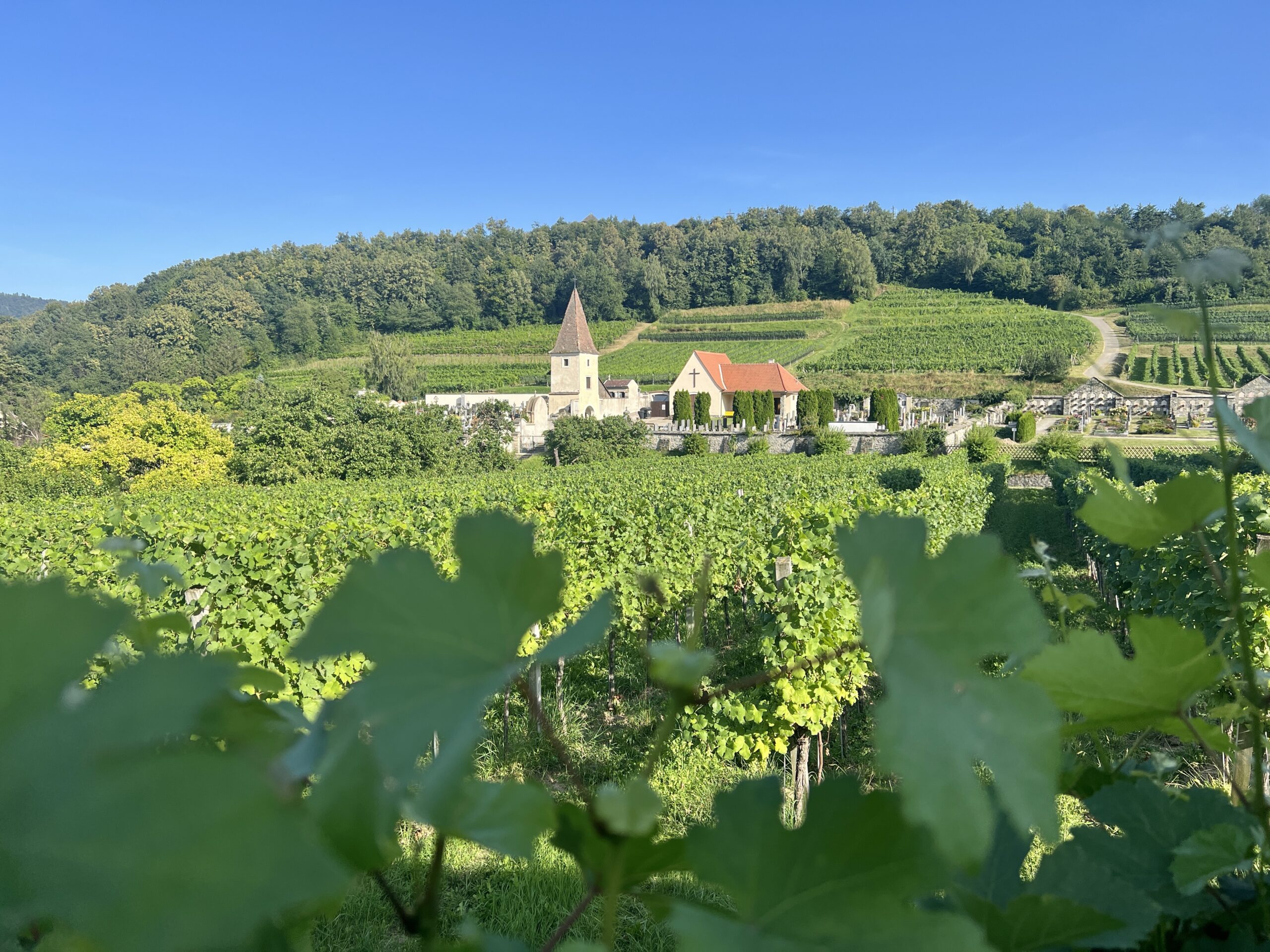 Blick auf den Spitzer Friedhof