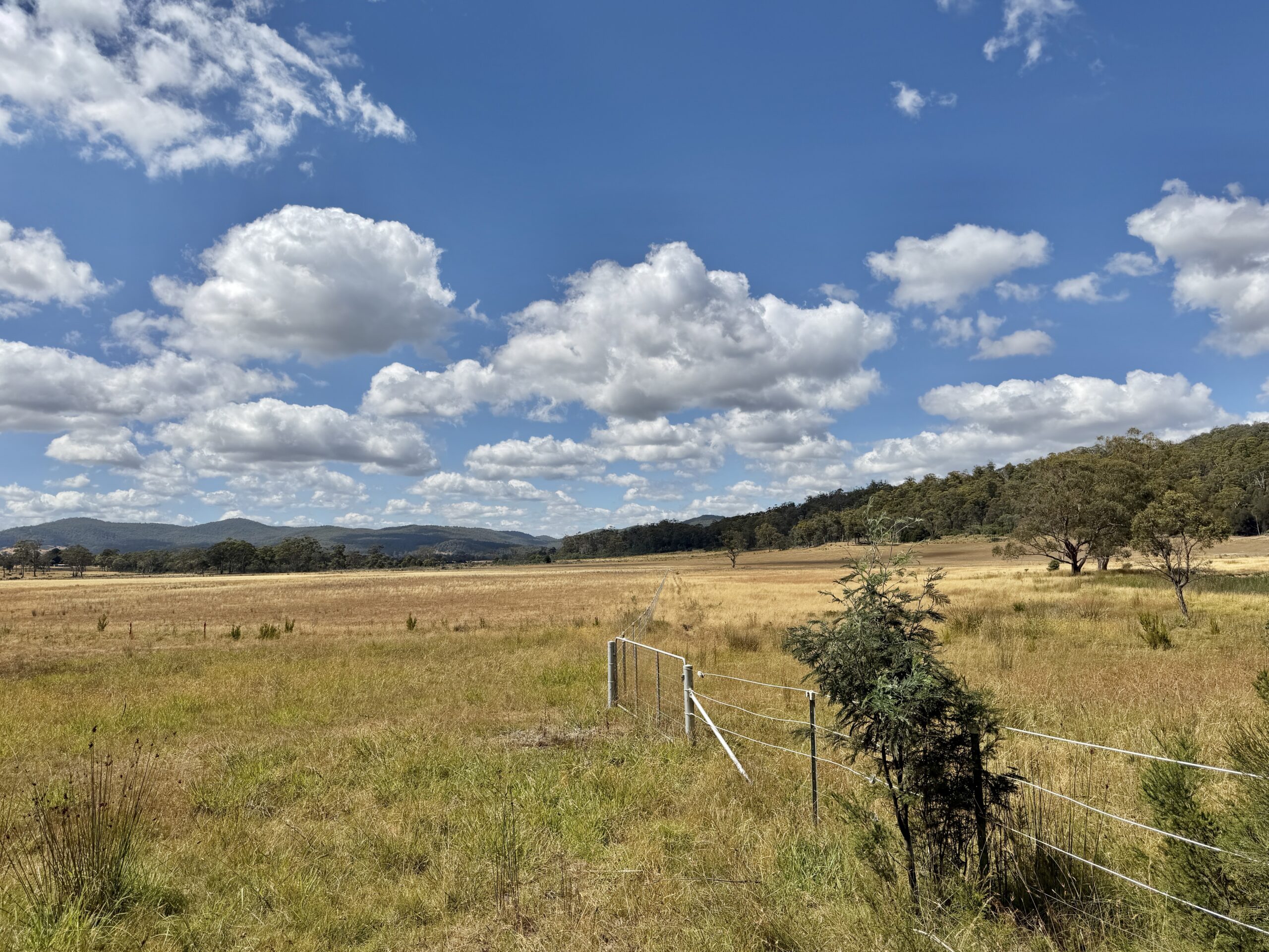 ... und mehr davon ...