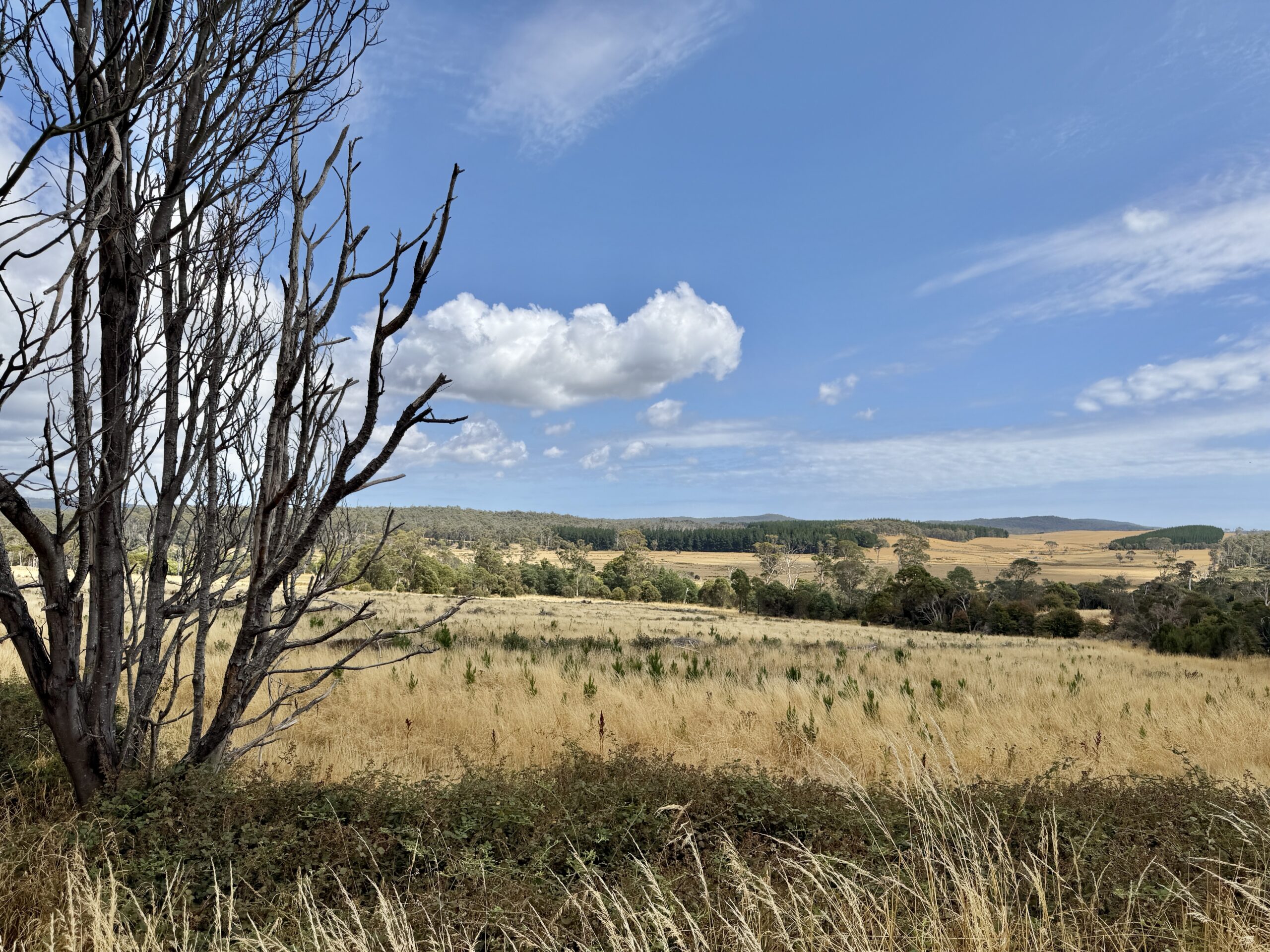 ... in alle Richtungen