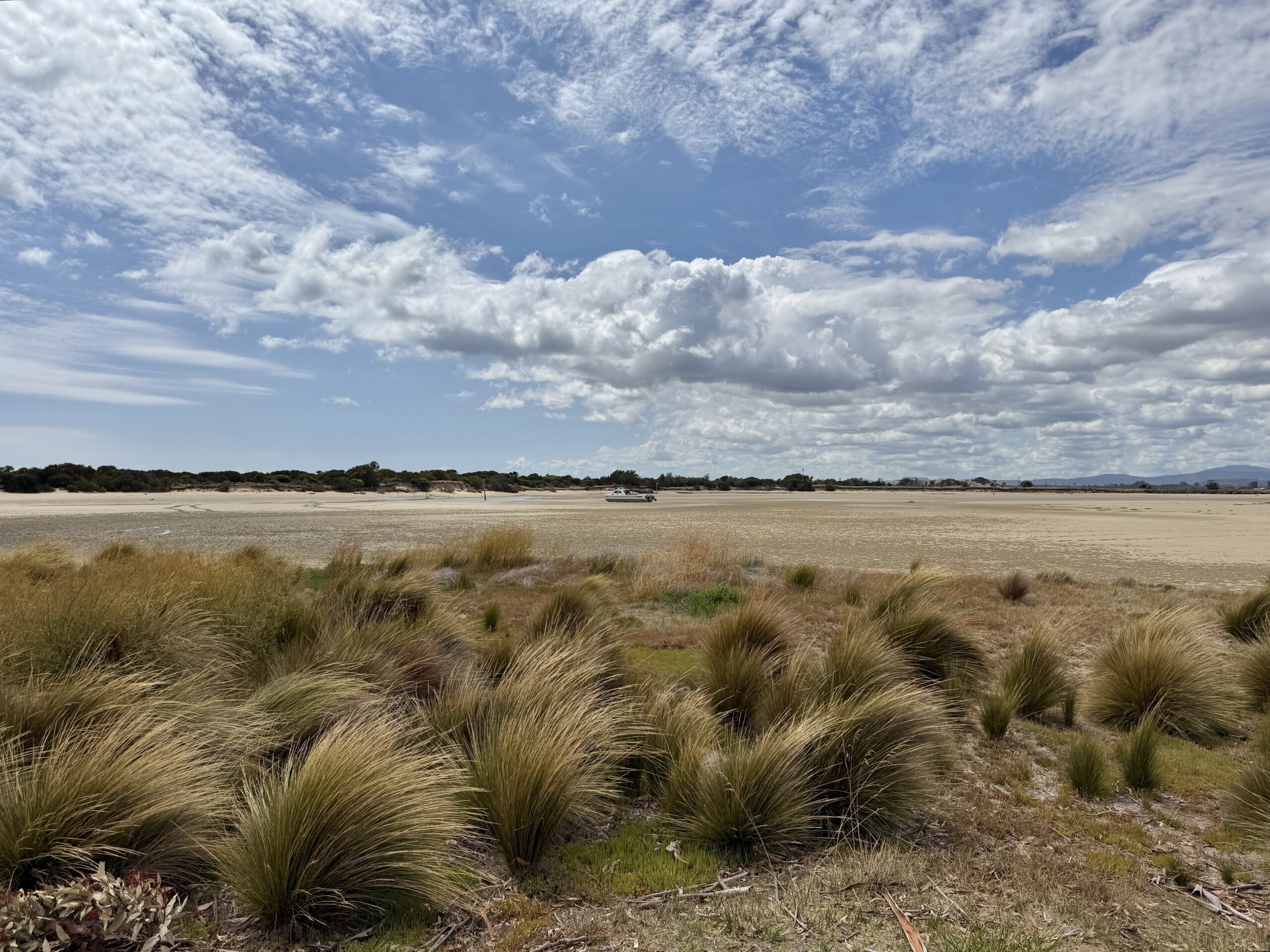 Hurst Creek in Bridport