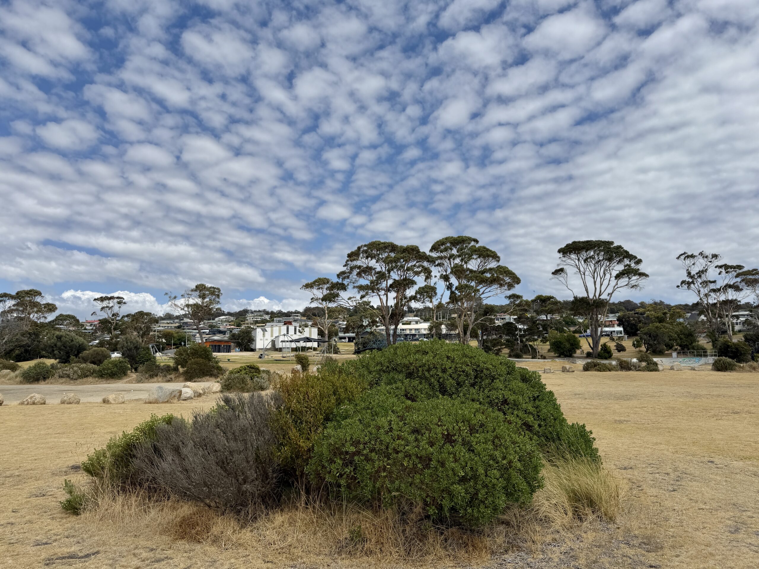 ... im Community Park