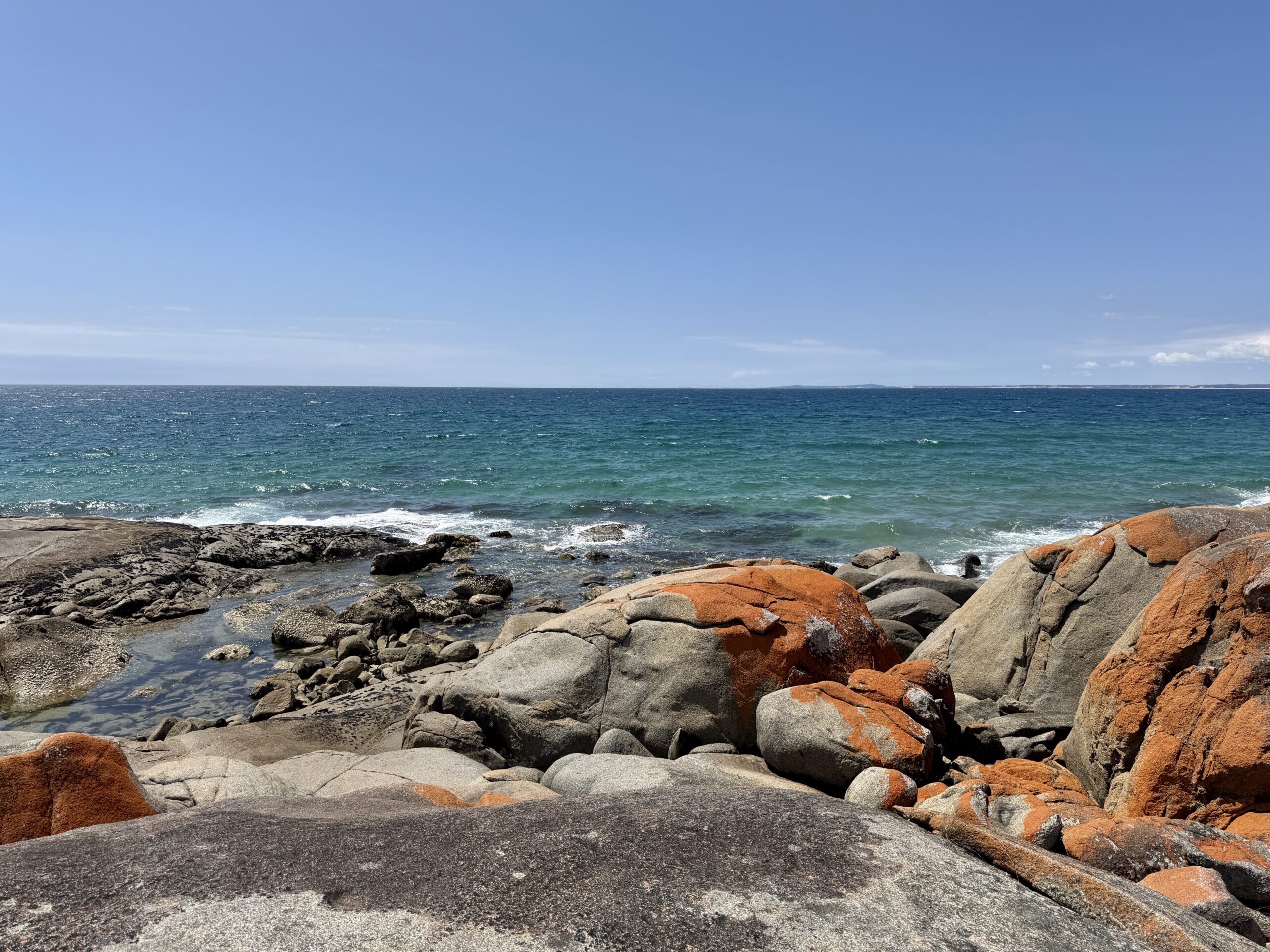 Die orange Farbe stammt von einer Flechte