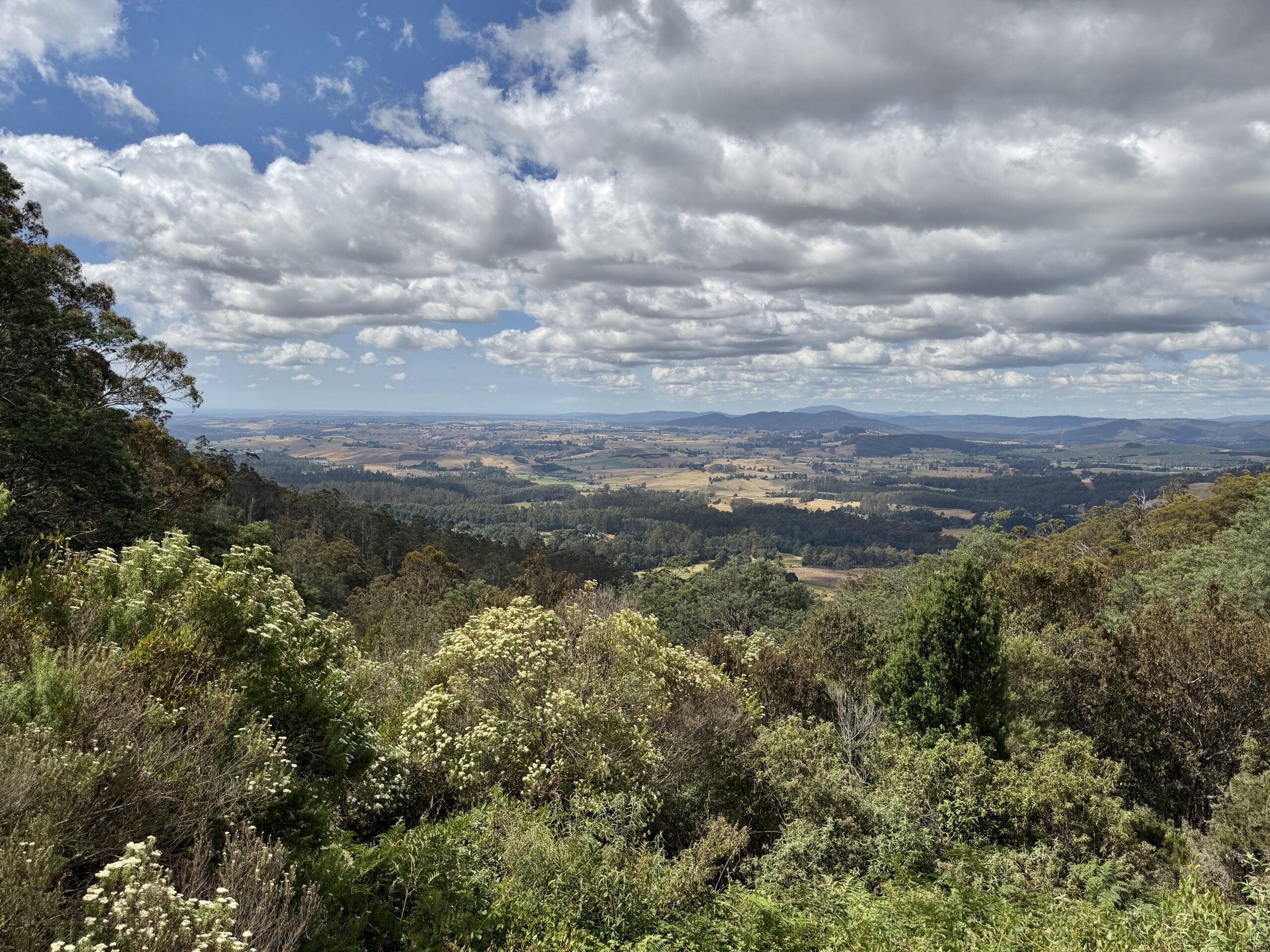 Blick zurück Richtung Scottsdale