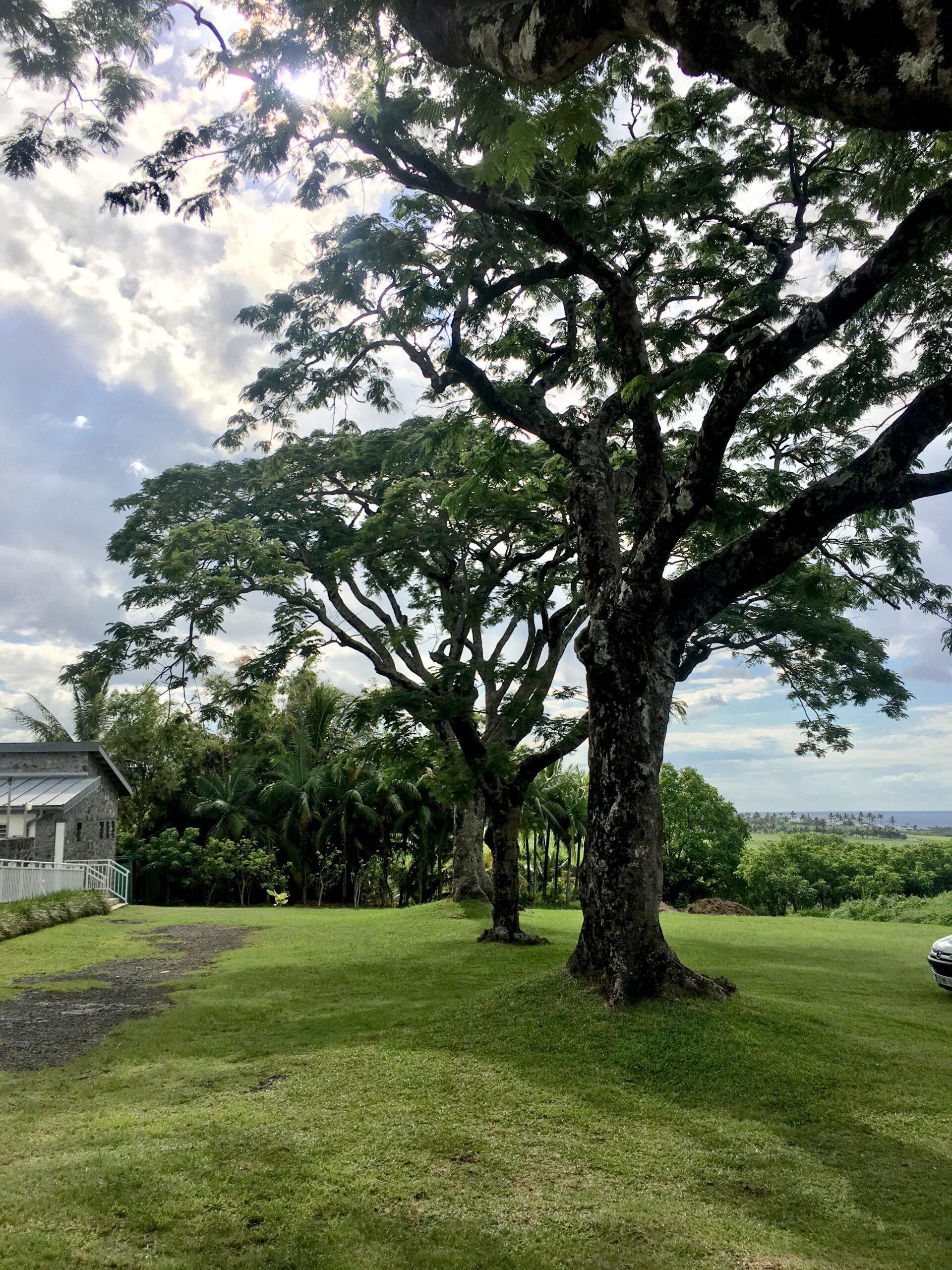 A la Vanilleraie à Ste. Suzanne