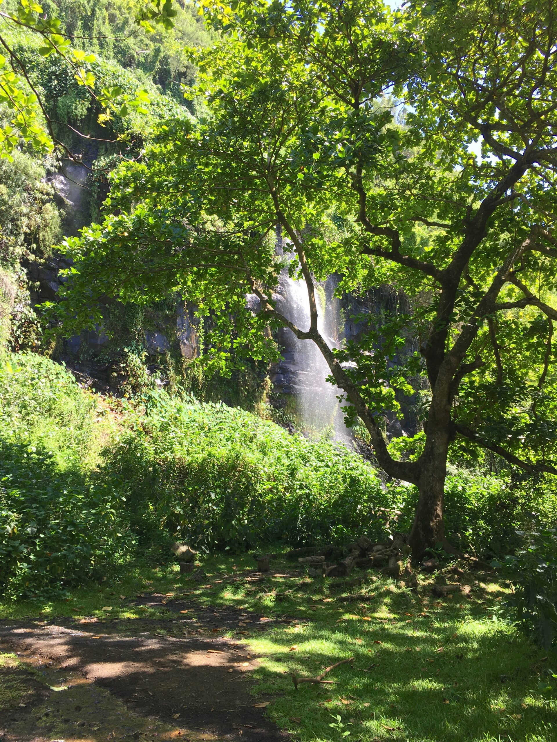 Cascade an der Pointe des Bambous