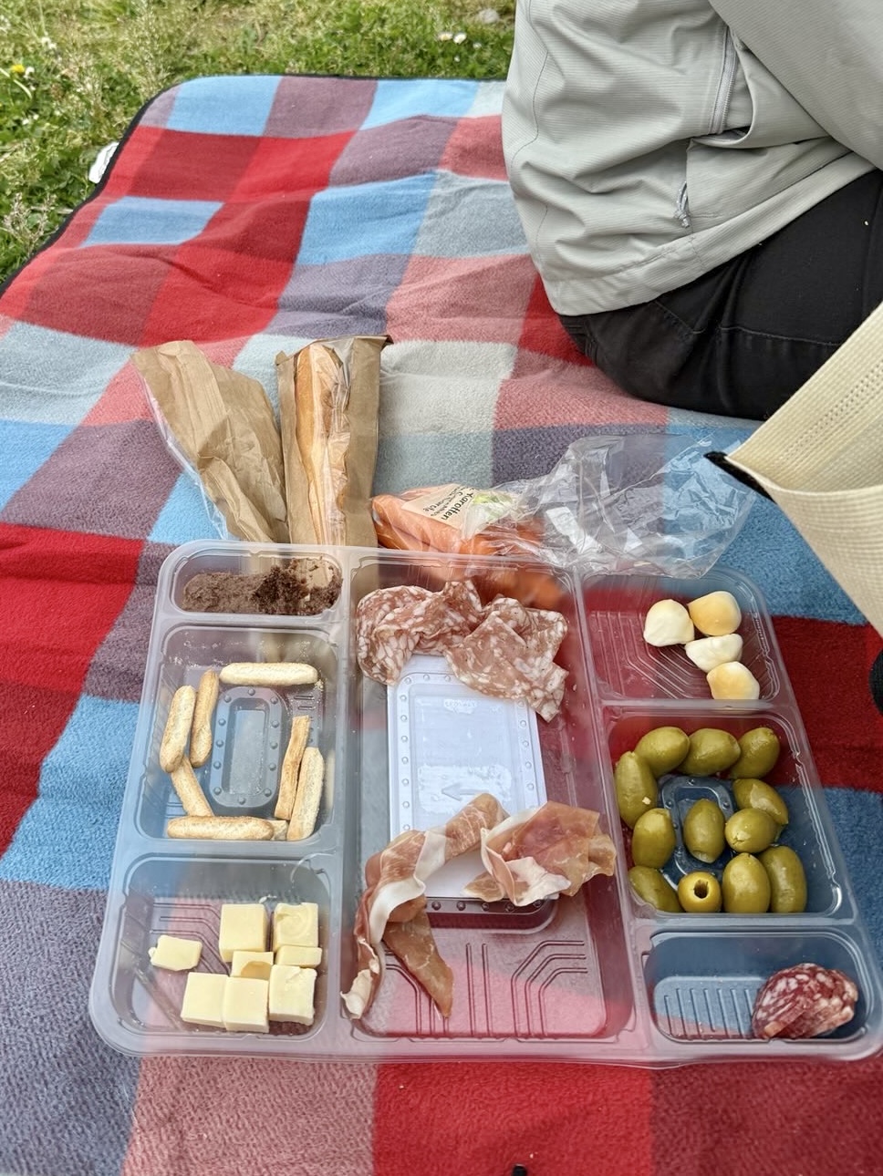 Picknick (versteckt vor dem Schwan und kleinen Hunden